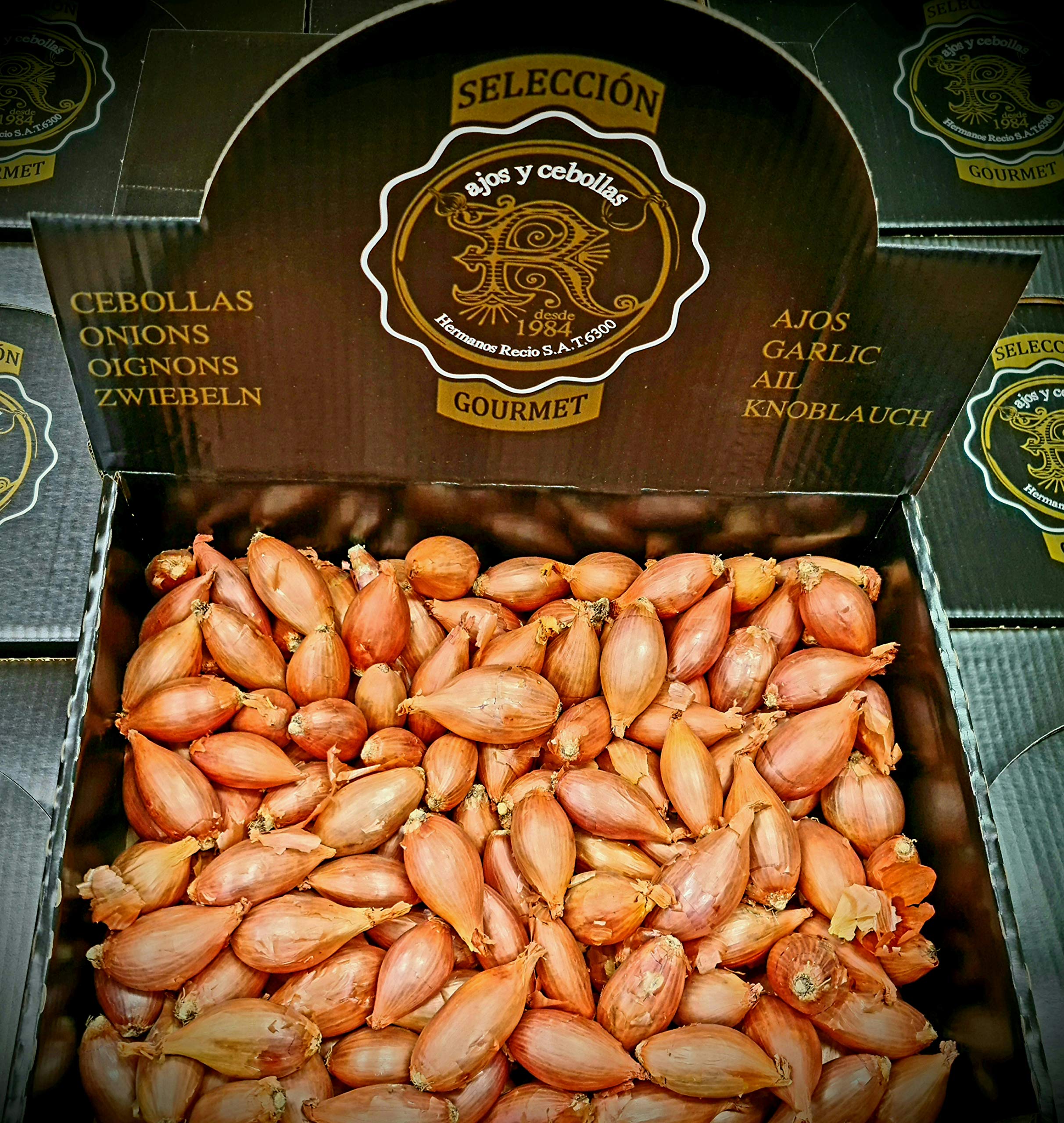 5 kg. Cebolla Èchalotte - Selección Gourmet