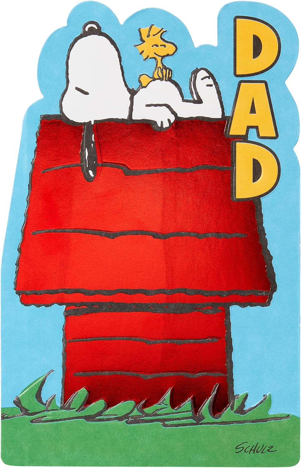 American Greetings Fathers Day Card for Dad (A Day To Relax)