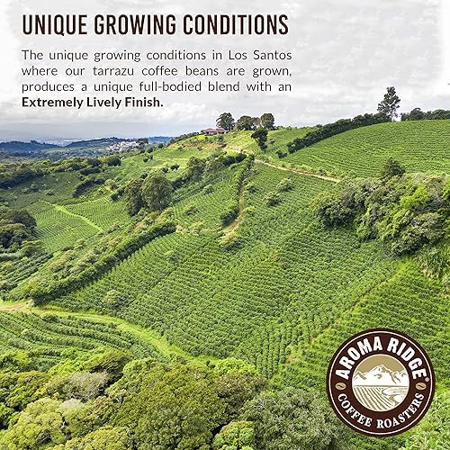 Miniatura 6 de Tarrazu Costa Rica, La Minita Facienda, café en grano entero de Aroma Ridge  Granos de café gourmet de tostado medio de 16 onzas  Granos de café