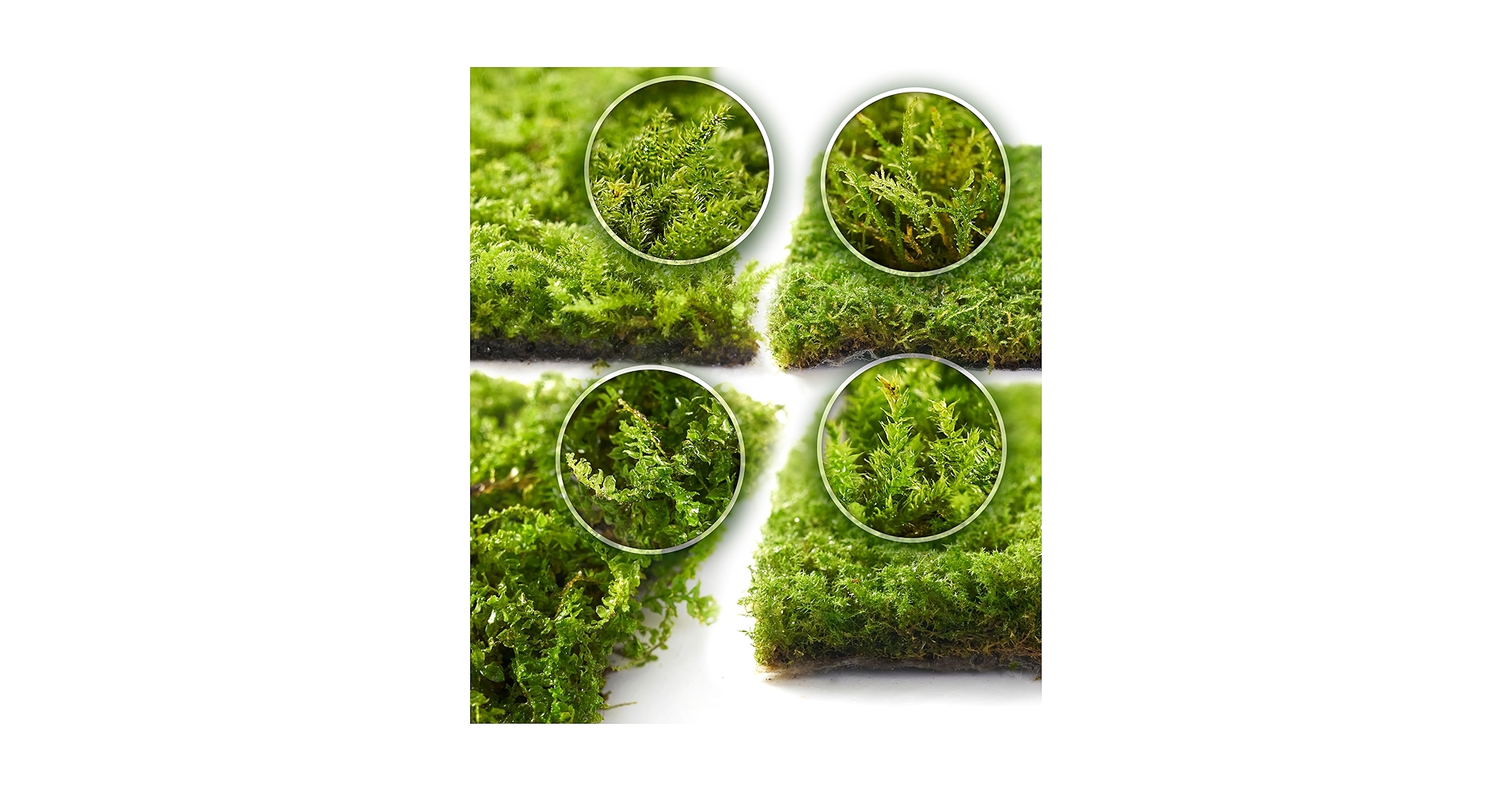 91VosiqOwsL.jpg_BO30,255,255,