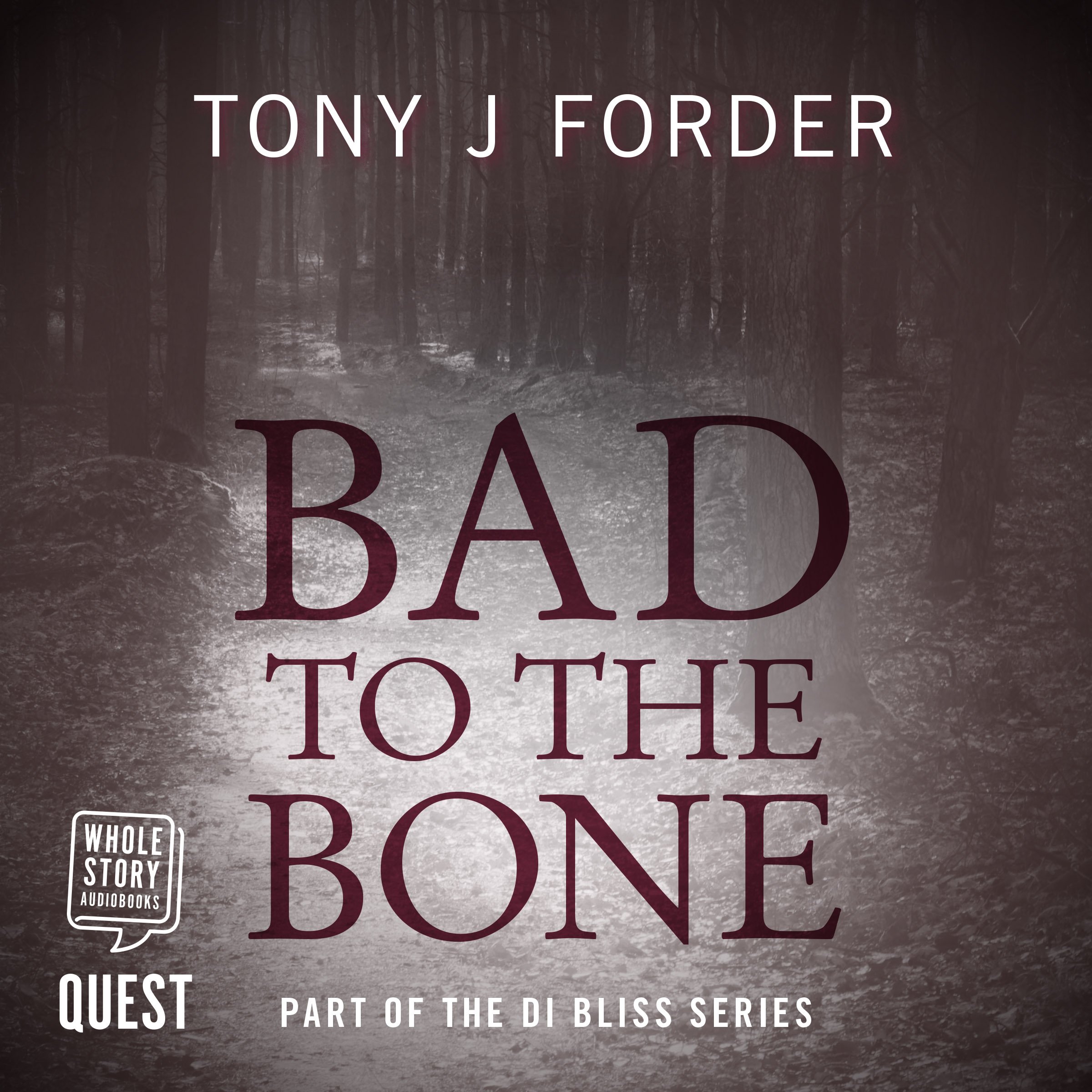 Cover art for Bad to the Bone