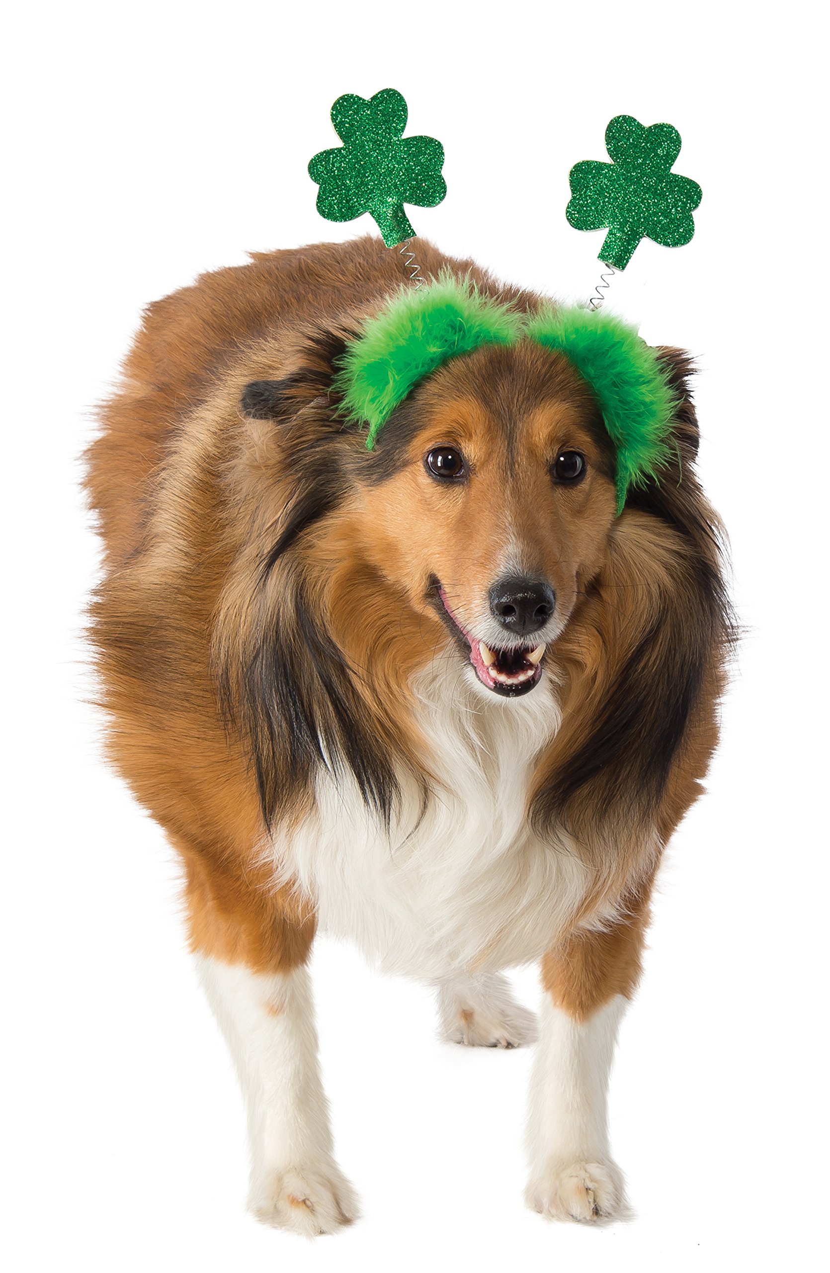 Rubies Bopper Costume pour Chien avec Motifs Coeur Rouge