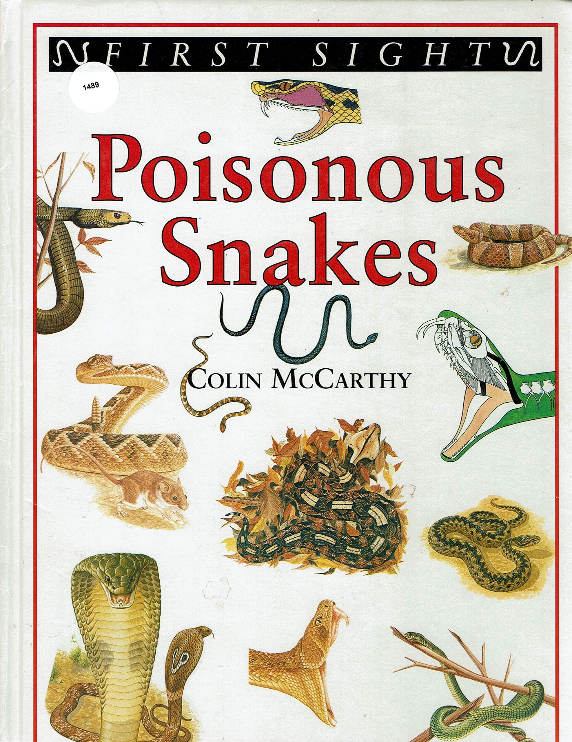 Poisonous snakes (First sight)