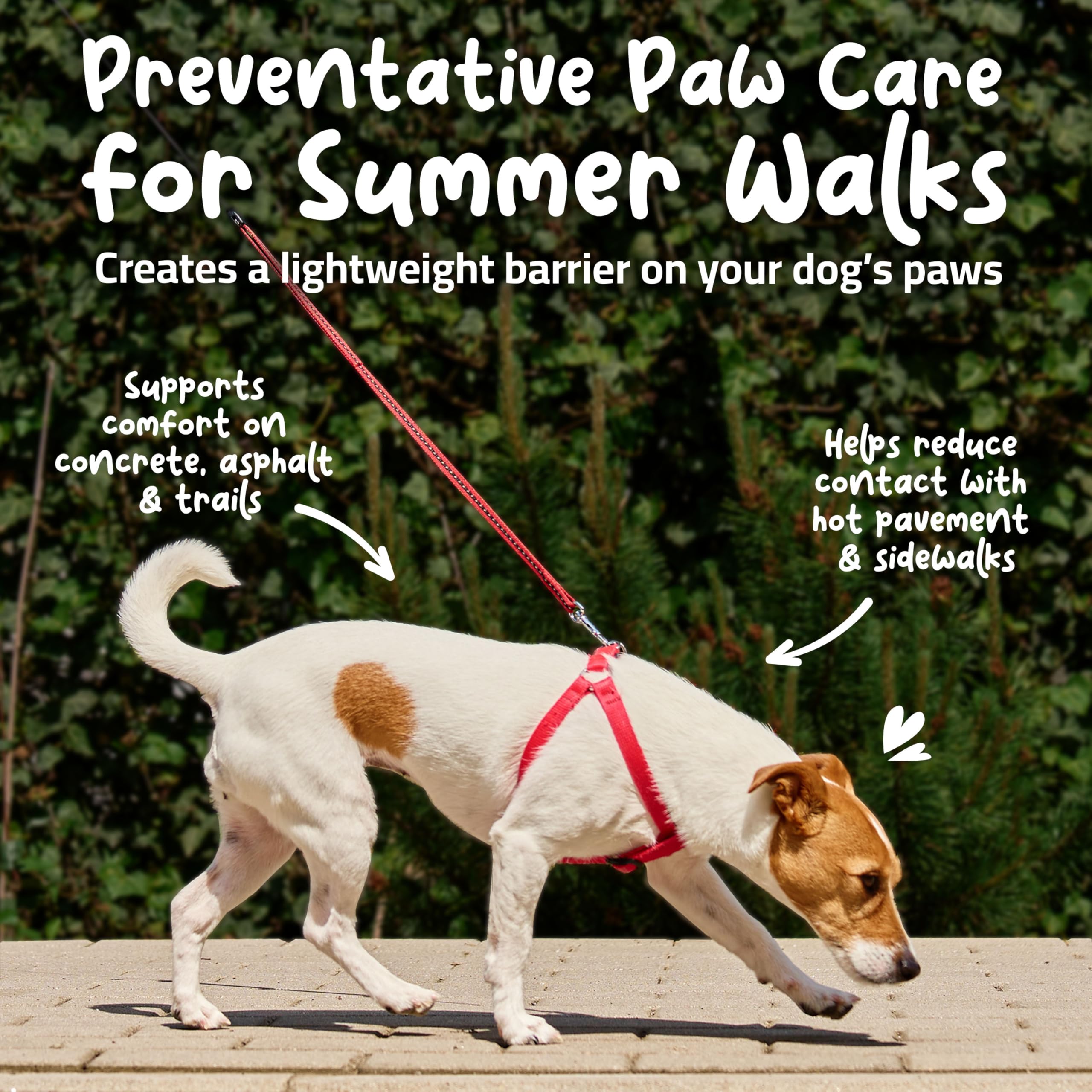 Roll-On Dog Paw Balm - Moisturizer & Soothing Protection from Snow & Hot Pavements - Snout Soother for Dogs - Easy & Fast to Apply, Natural, Non-Toxic, Food-Grade, Lick-Safe Wax - image 6