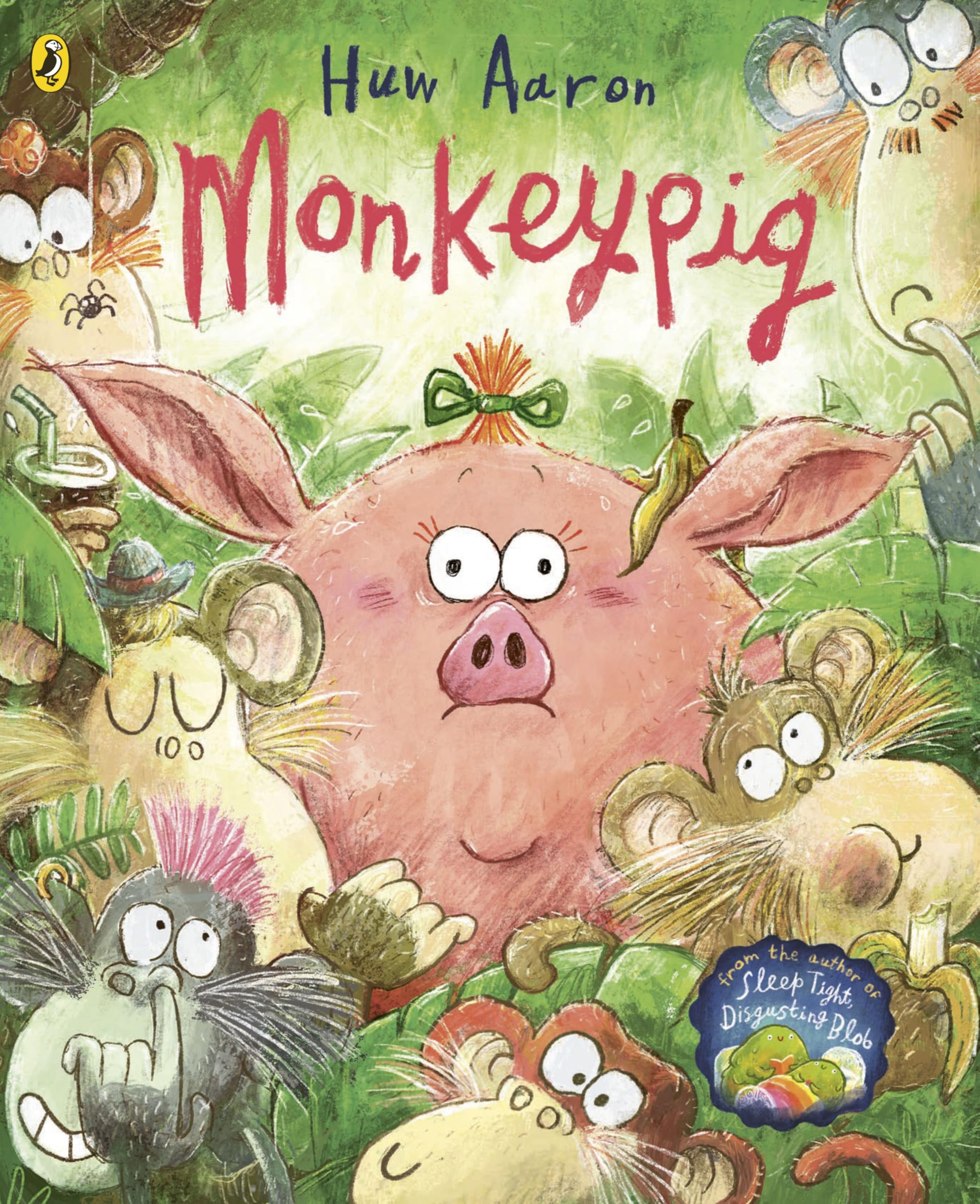 Huw Aaron Monkeypig Paperback Children's Early Learning Book