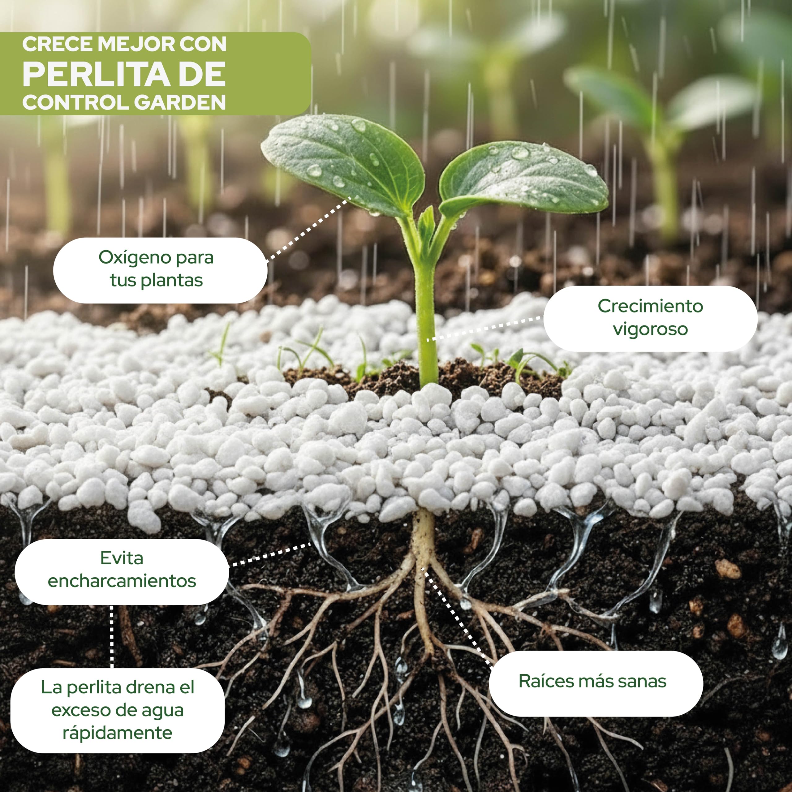 Control Garden Perlita 125 L | Tierra para Plantas y Cultivos Interior y Exterior | Sustrato Natural para Semillas | Fabricado en España