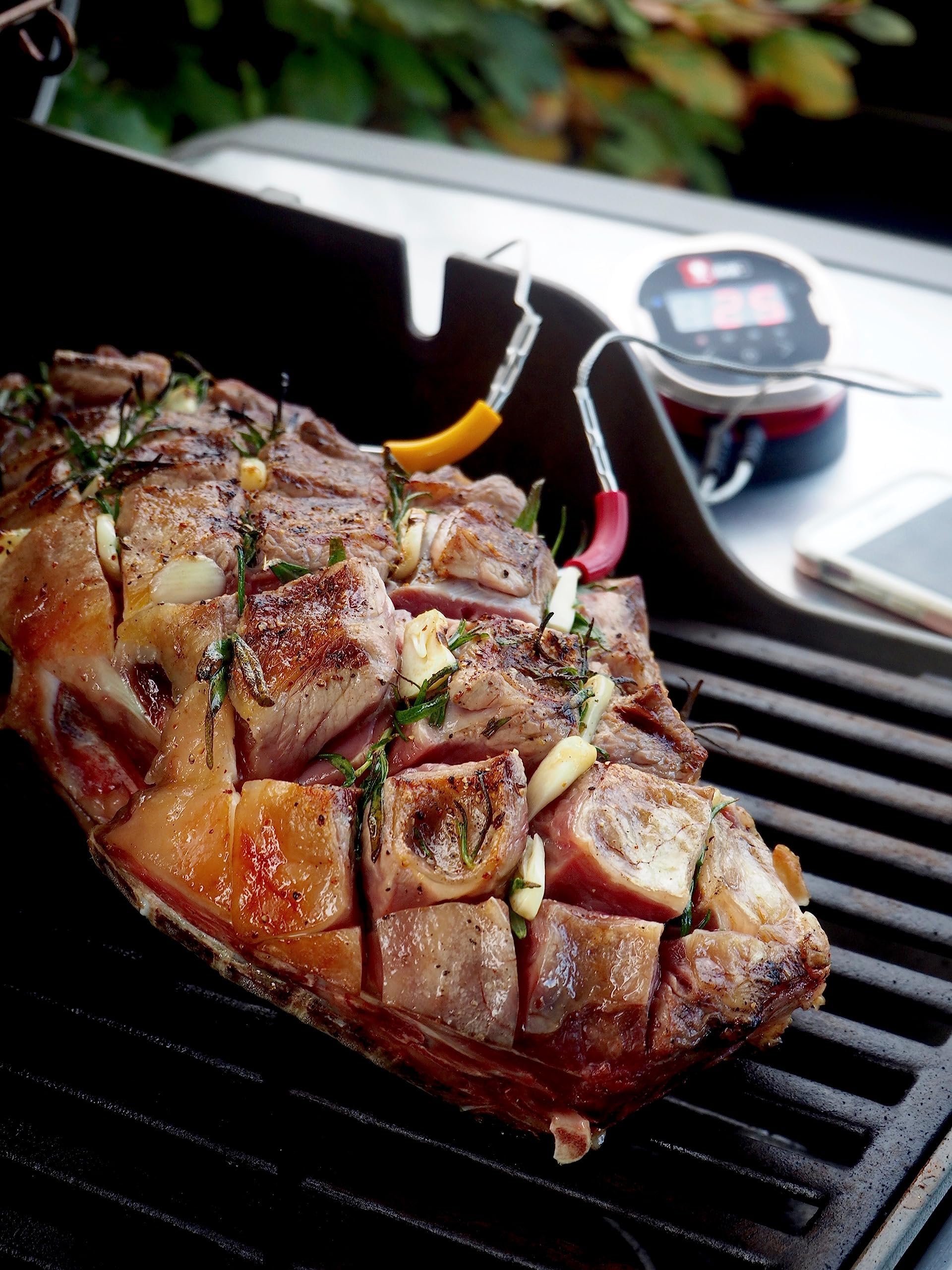 Weber iGrill/Connect Smart Grilling Hub Messfühler für Grillgut, bis 300° C, zur Temperaturüberwachung von Fleisch oder Fisch, 1 Stück - Silber (7212) (Packung mit 2)