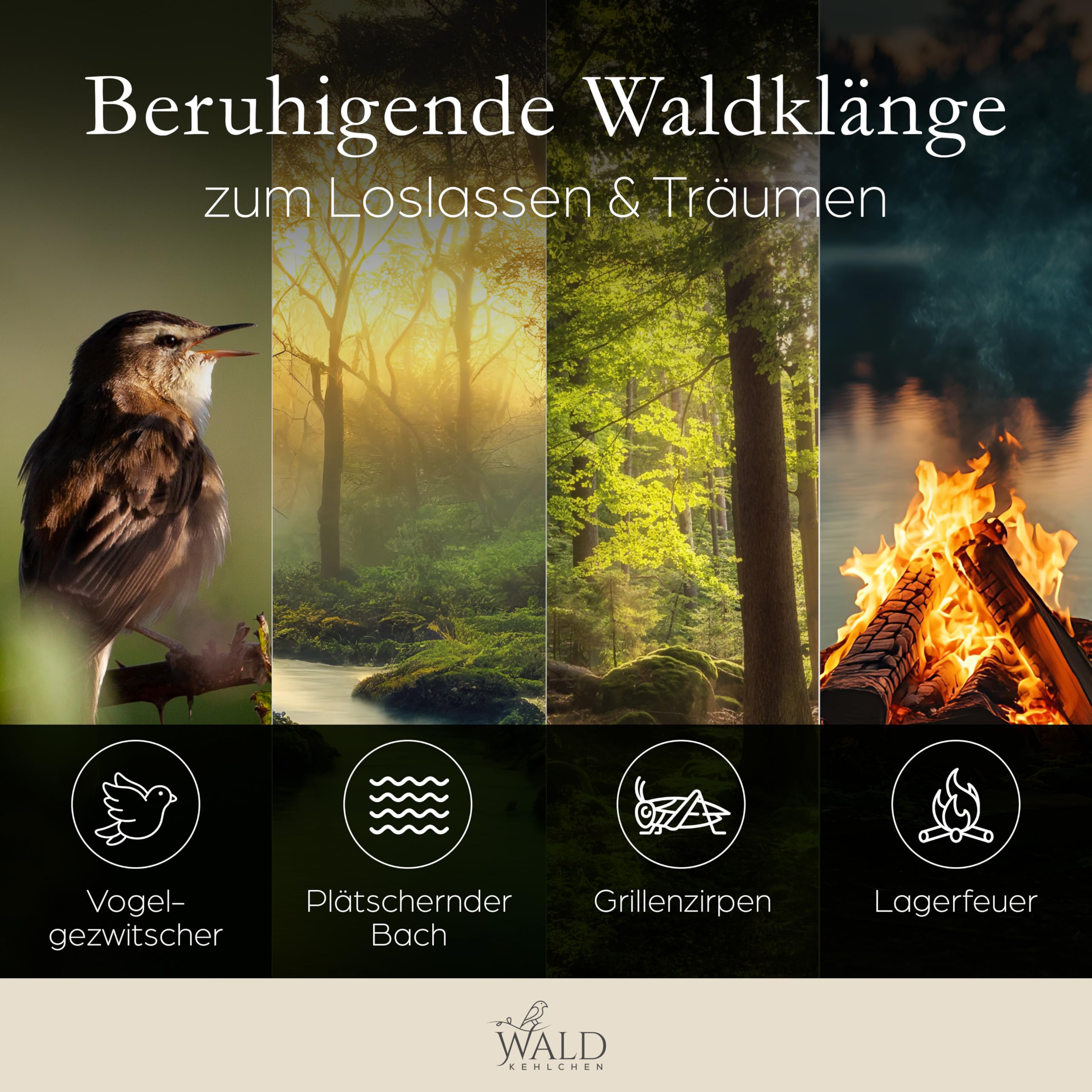 Premium Vogelgezwitscher Box aus echtem Voll-Bambus Vollholz – Hochwertige Soundbox mit Naturgeräuschen, Bewegungsmelder & Nachtlicht