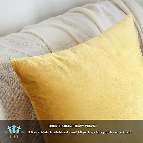 Vista 80 de GIGIZAZA - Juego de 2 fundas de almohada decorativas de 18 x 18 pulgadas, fundas de almohada cuadradas de terciopelo verde azulado pavo real