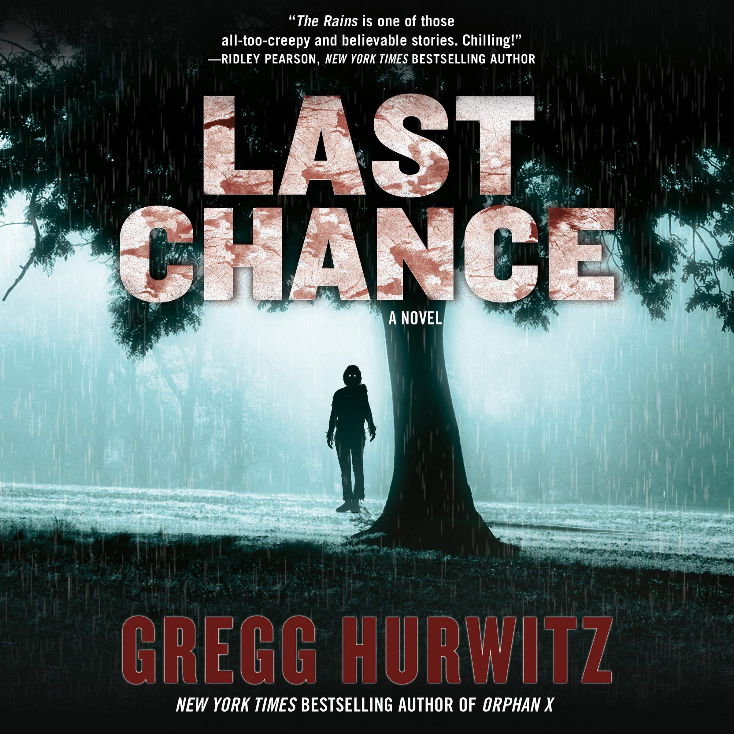 Last Chance: A Novel (The Rains Brothers, Book 2)