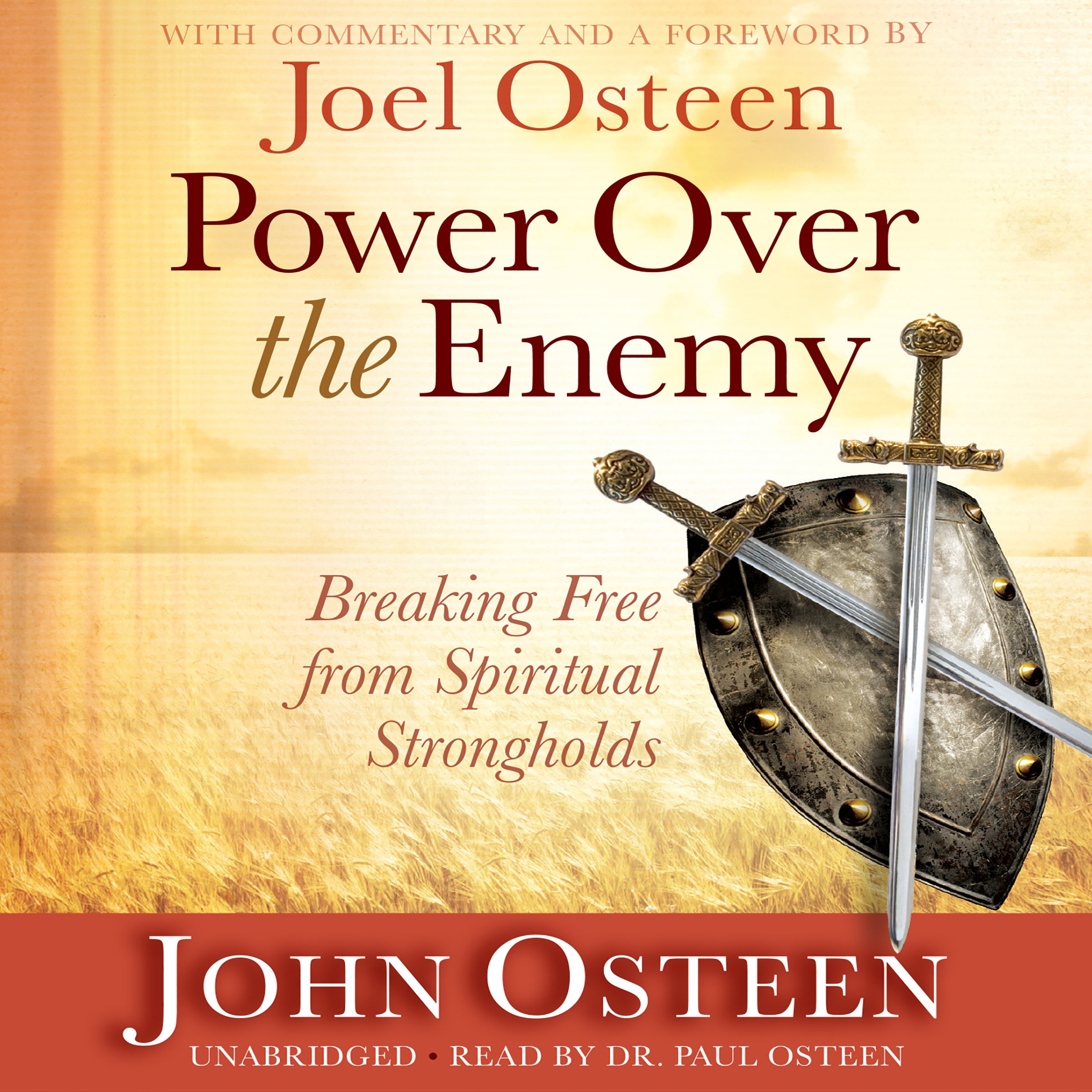 Cover art for Power over the Enemy