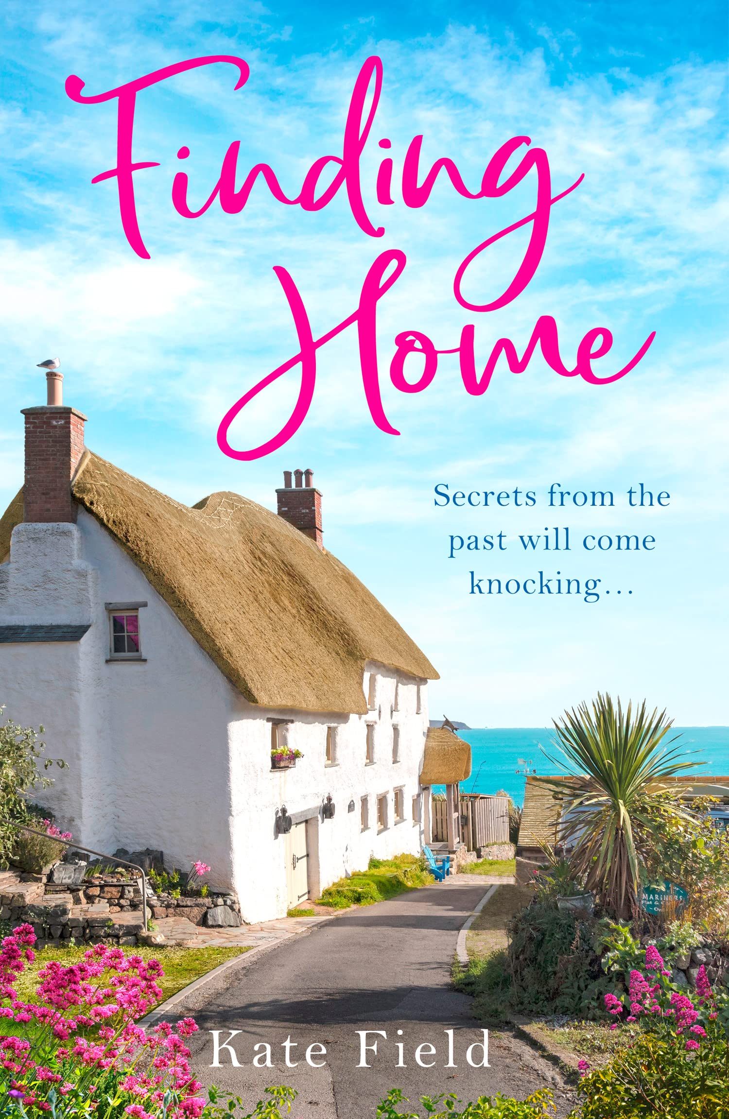 FINDING HOME Paperback – July 8, 2021