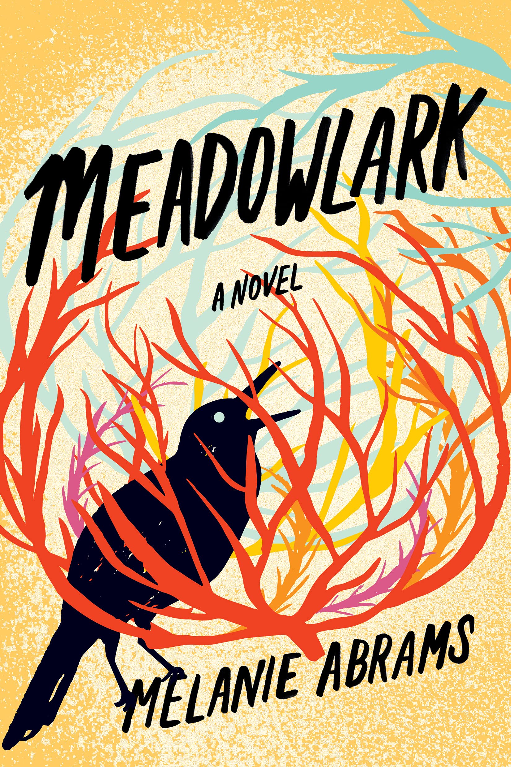 Buy Meadowlark: A Novel — BookShops.in