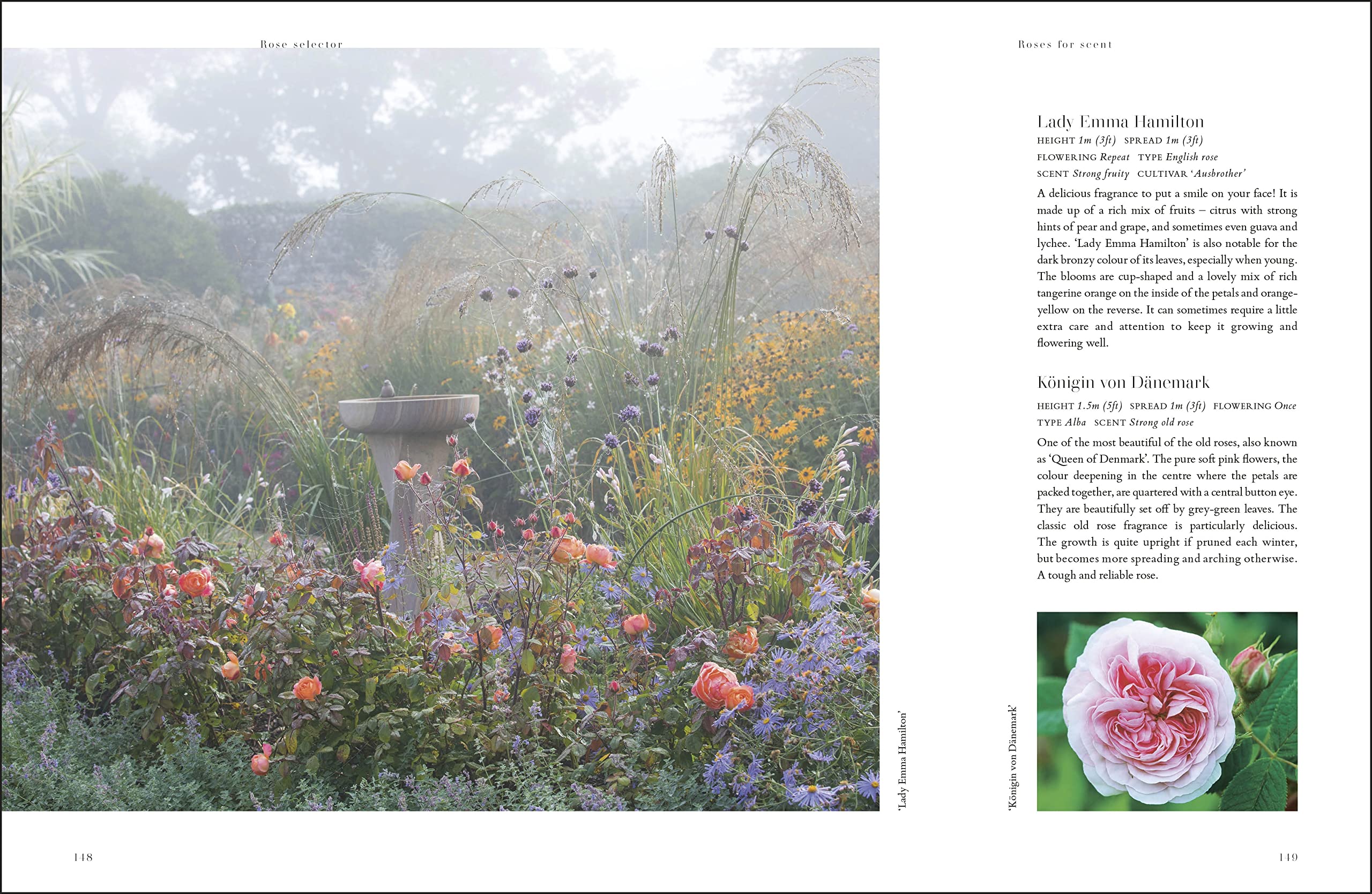 RHS Roses: An Inspirational Guide to Choosing and Growing the Best Roses