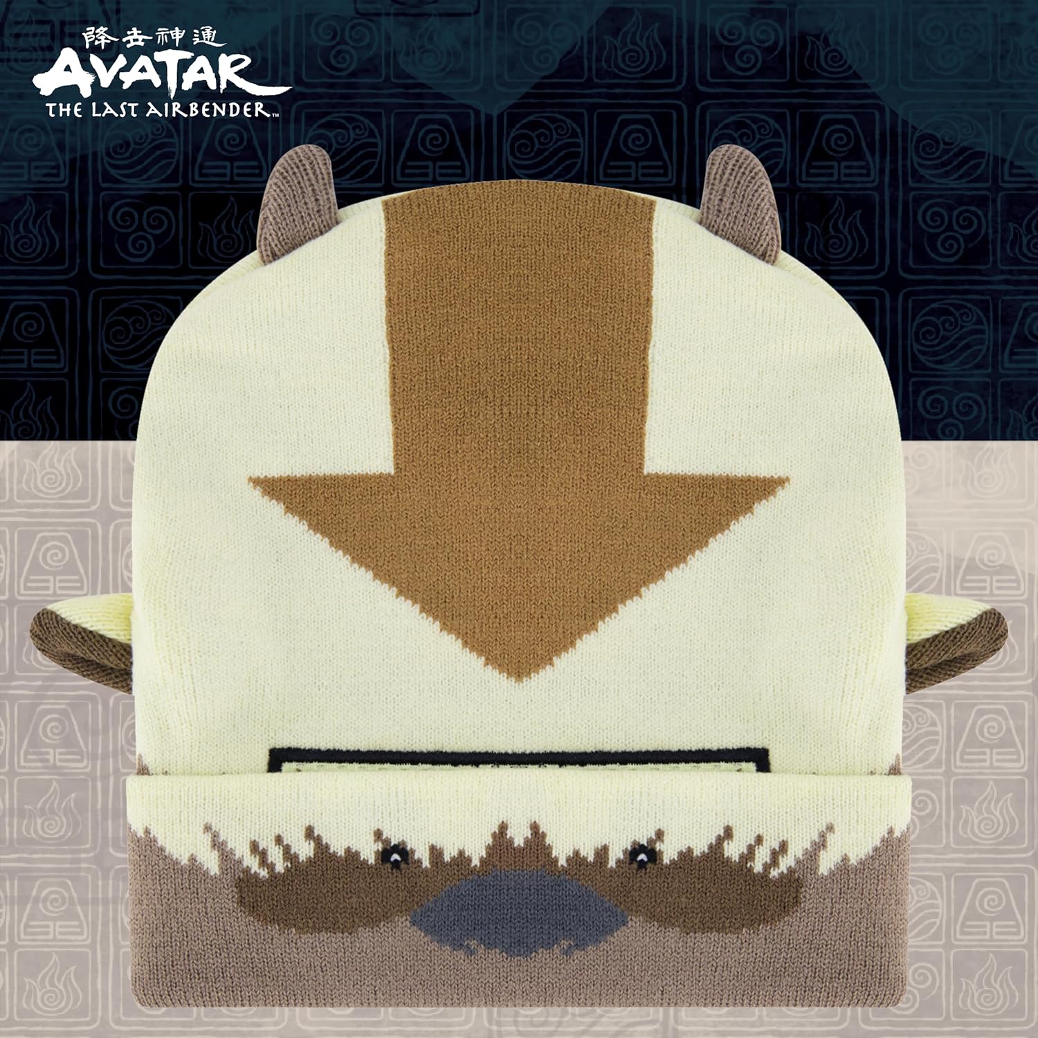 Avatar The Last Airbender Knitted Winter with Cuff Beanie Hat, Multi, One Size