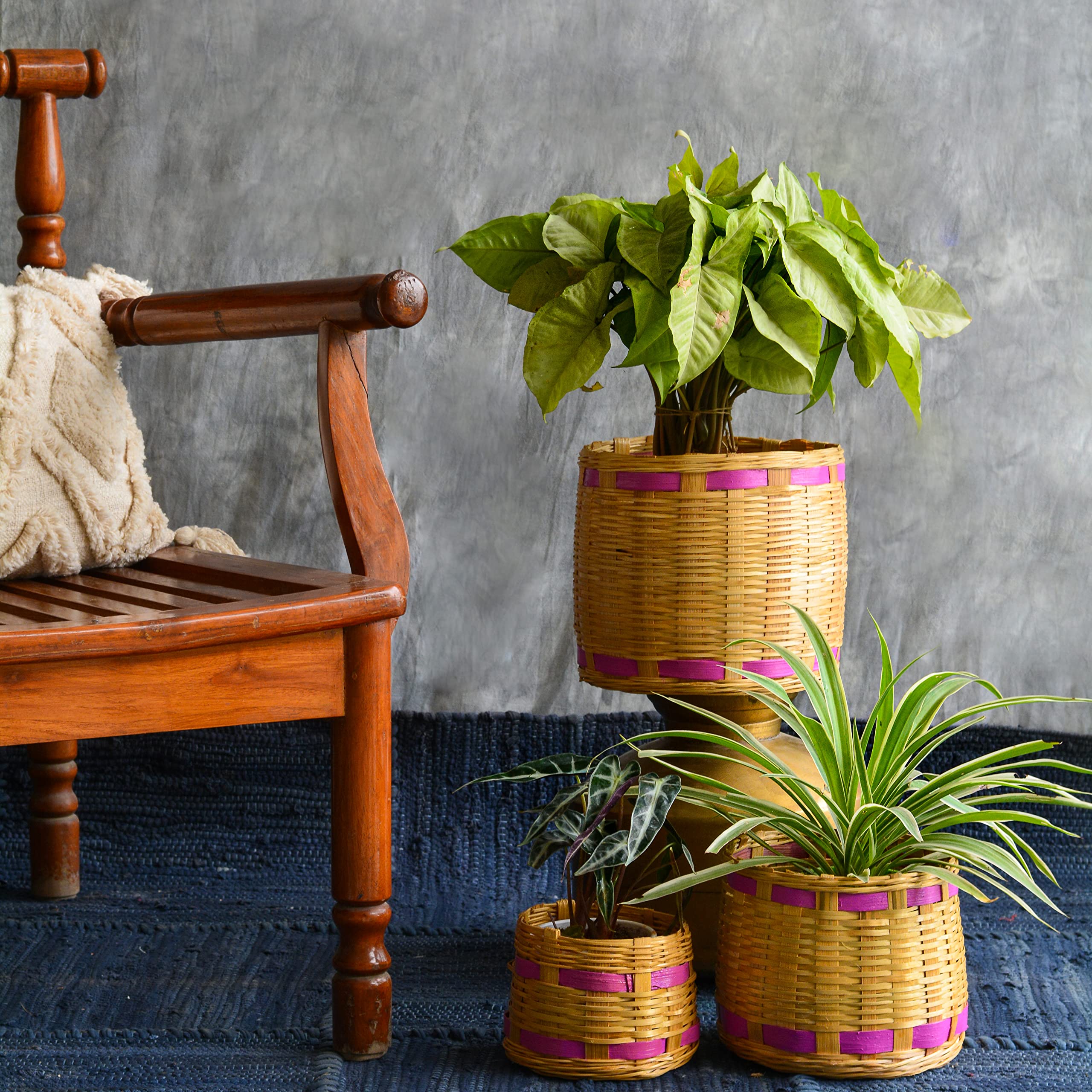 See full amazon price history chart for CreateYourTaste Bamboo Cane Indoor Planter Baskets for Home Balcony Terrace Garden Decor, Combo Pack of 3 CreateYourTaste Bamboo Cane Indoor Planter Baskets for Home Balcony Terrace Garden Decor, Combo Pack of 3 (B08ZN6T9MX) Amazon Price History, Amazon Price Tracker