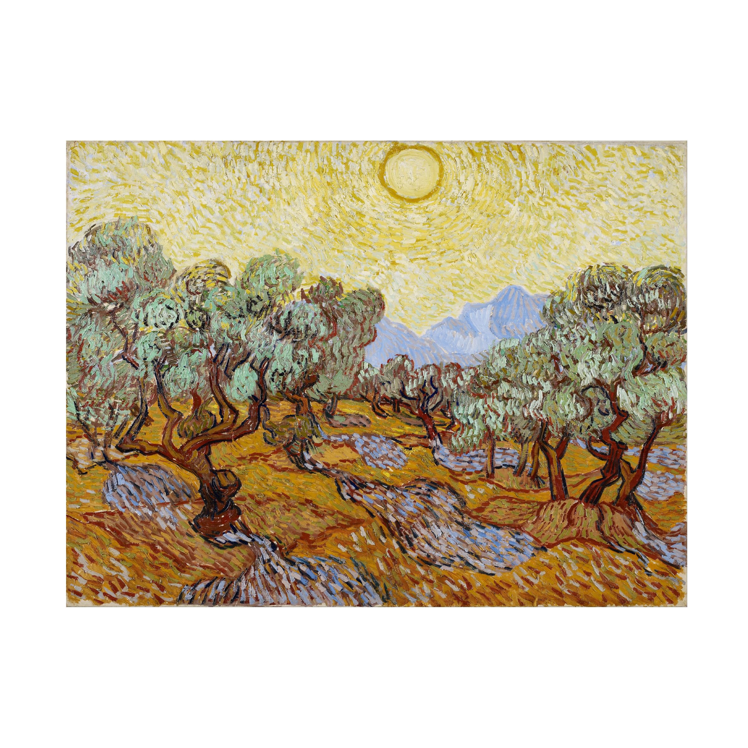 Amazon.co.jp: Trademark Fine Art Olive Trees 1889 ヴィンセント