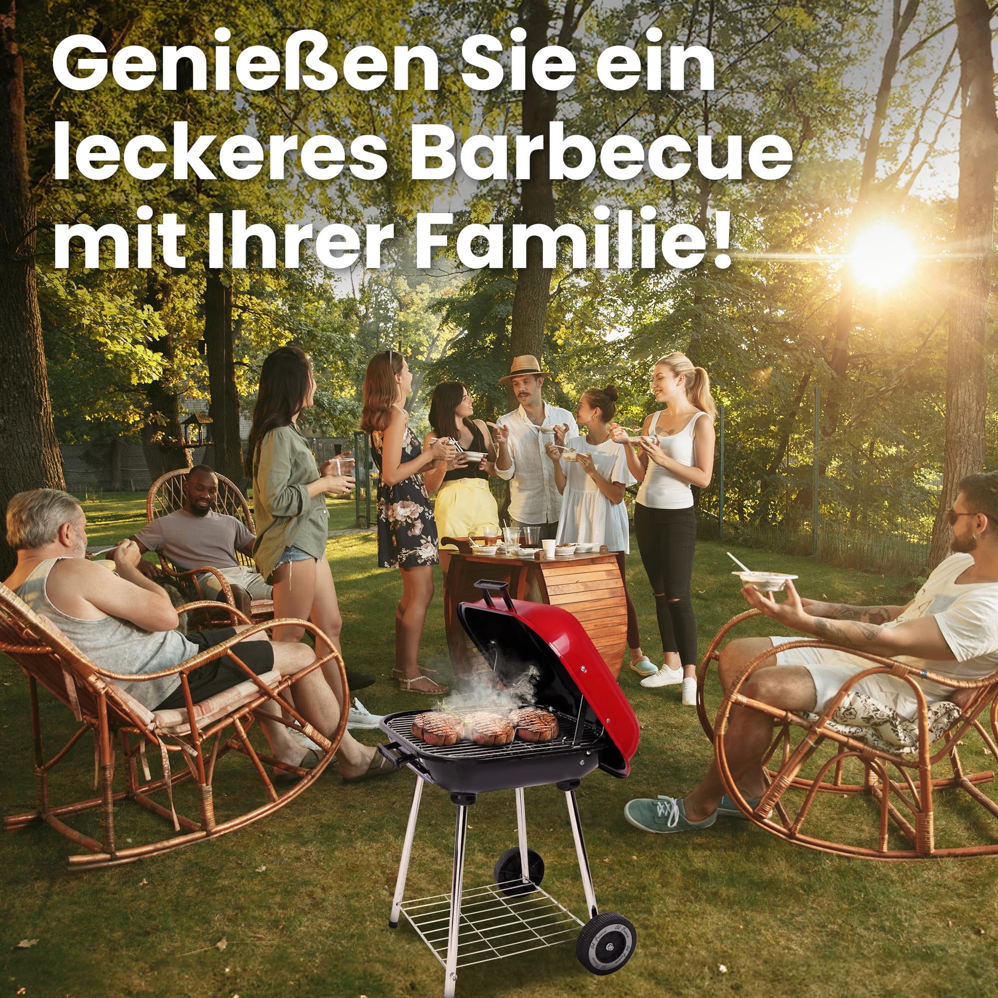 Barbecue Au Charbon De Bois, Barbecue Au Charbon De Bois Inoxydable De Haute Qualité, Barbecue Barbecue Au Charbon De Bois, Barbecue Au Charbon De Bois Inoxydable De Haute Qualité, Barbecue
