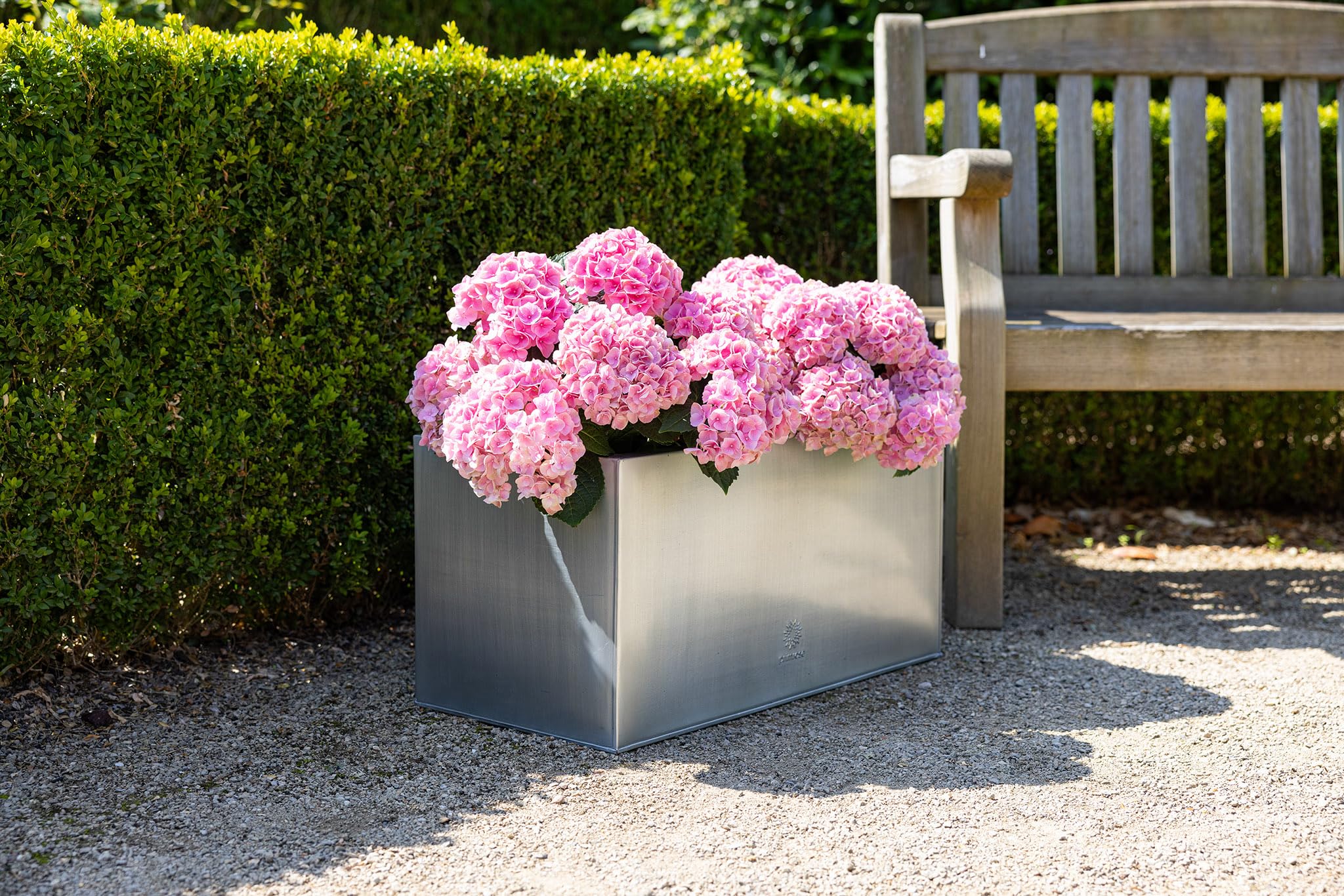 View 6