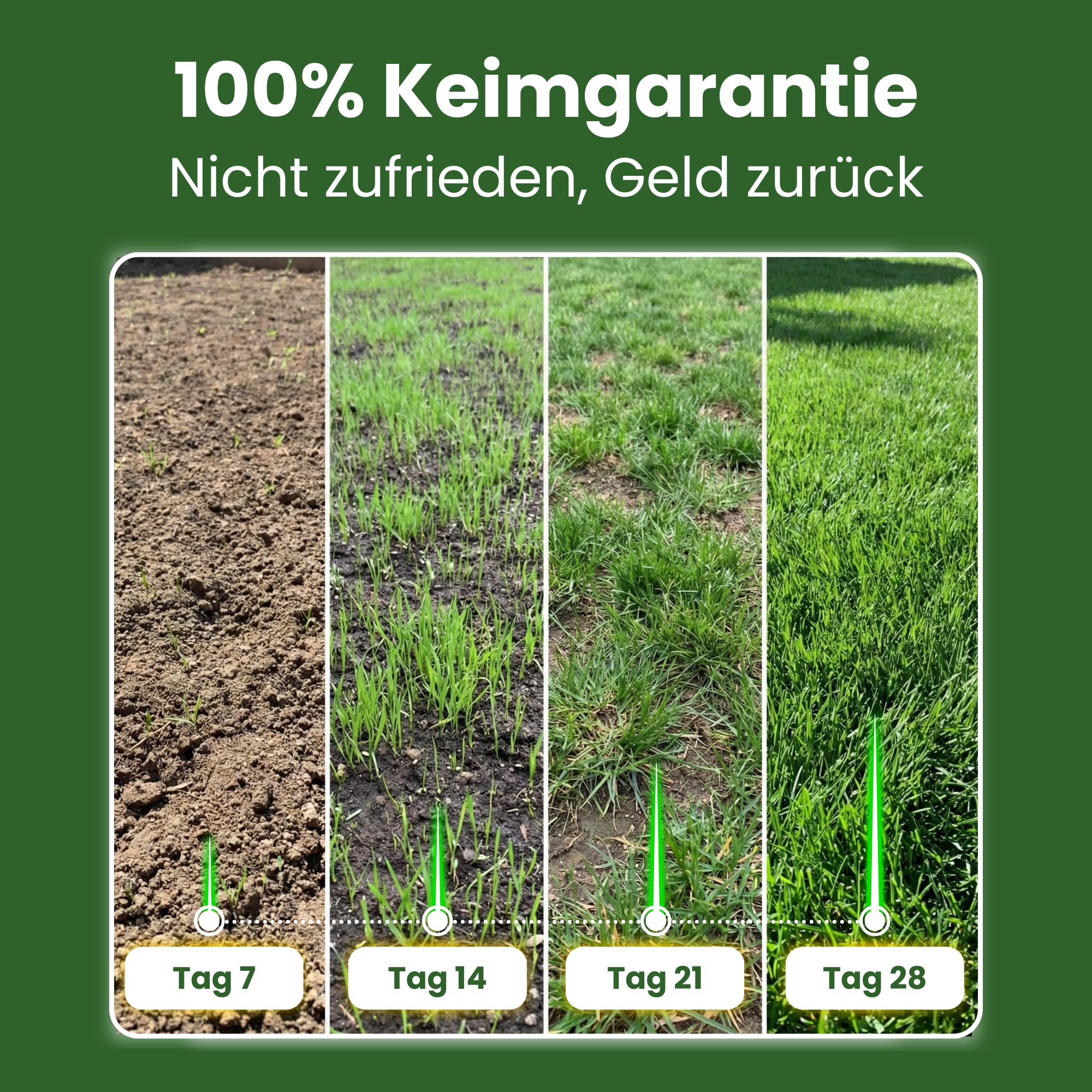 LERAVA® EXPRESS Rasensamen schnellkeimend Frühjahr (30m²) | Grassamen Trockenrasen & Schattenrasen Samen | Sport und Spielrasen Nachsaat | Rasensaat turbo Rasennachsaat schnellkeimend