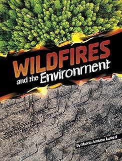 Wildfires and the Environment (Disasters and the Environment)