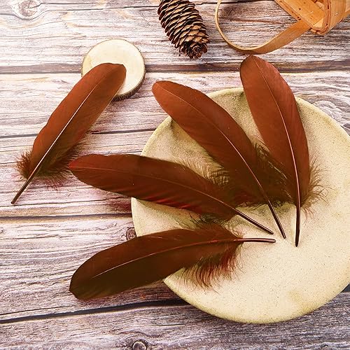 Miniatura 2 de Ballinger Plumas marrones artesanales a granel  120 plumas de ganso de 6 a 8 pulgadas para manualidades, decoración de Halloween, joyas, cosplay y
