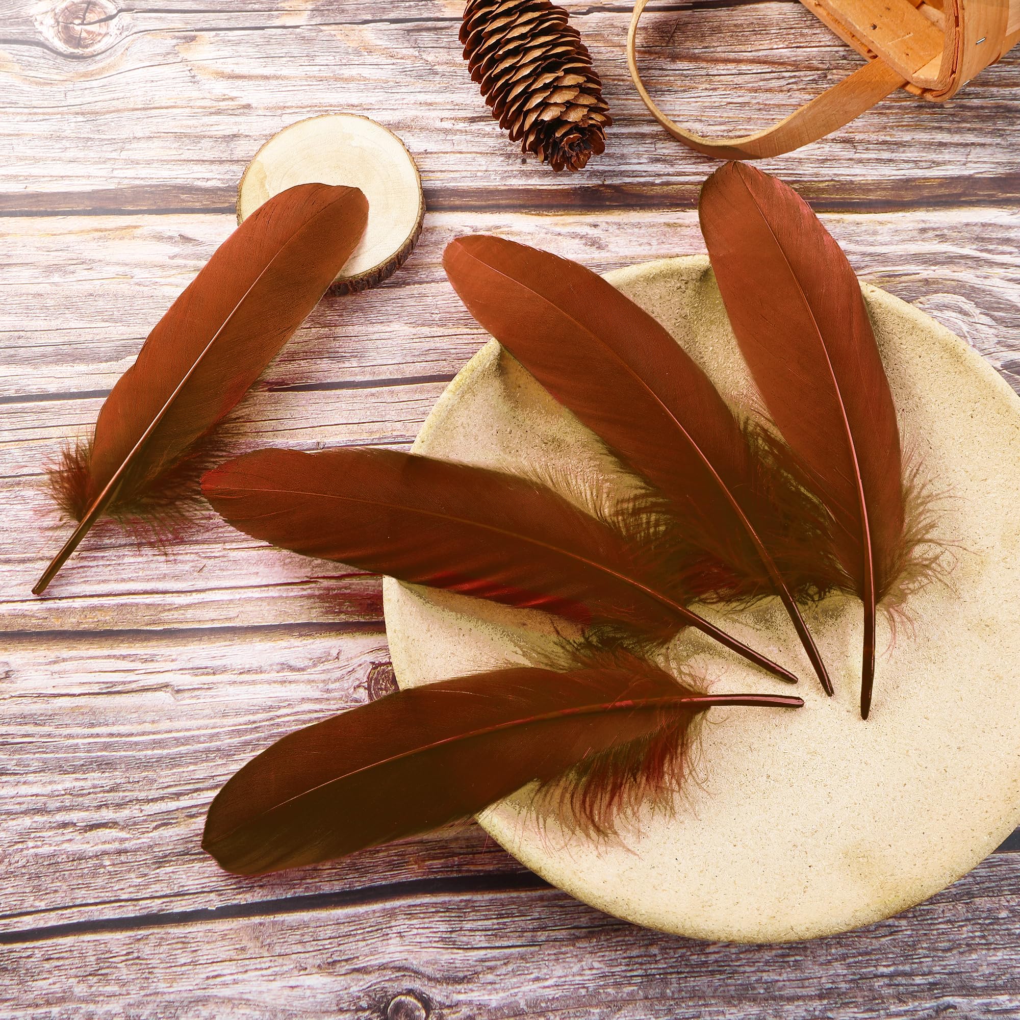 Amazon.com: Ballinger Brown Craft Feathers Bulk - 120Pcs 6-8inch