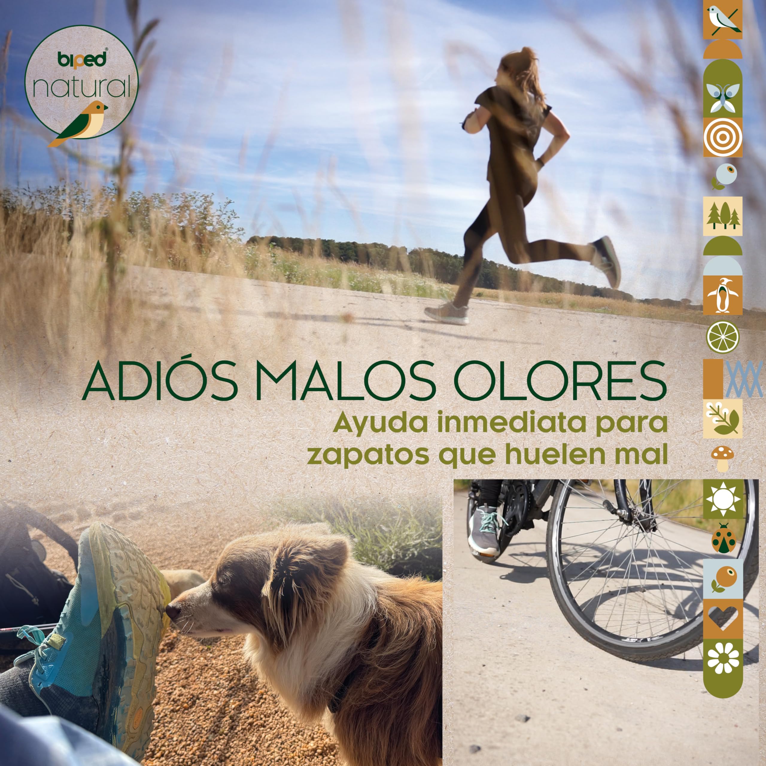 biped natural secador de zapatos de madera de cedro – 1 par de almohadillas elimina olores de forma natural – sin productos químicos – para zapatos frescos z2927