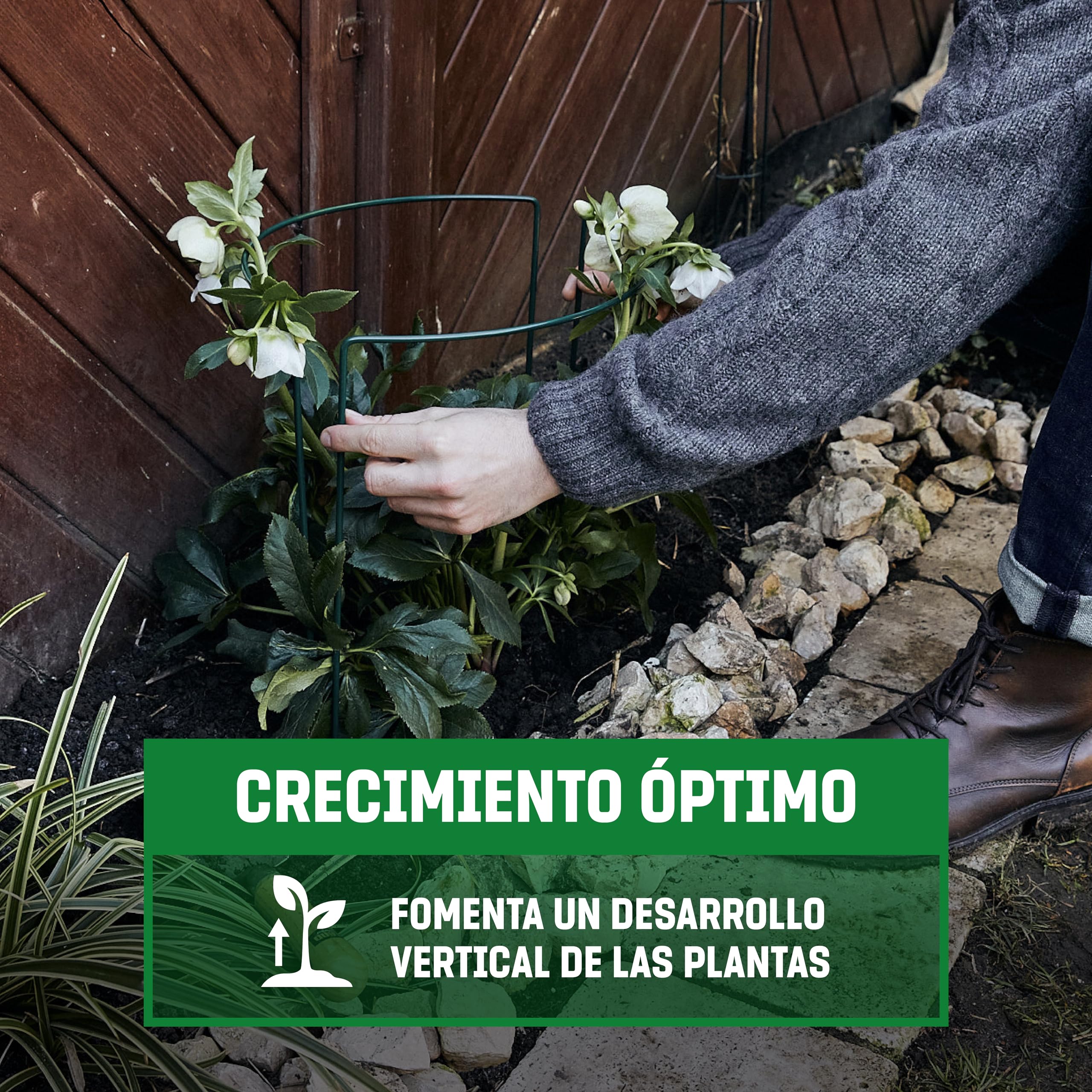 GardenGloss Soportes para Arbustos (10 Unidades) - Ayuda a la Escalada para Hortensias y Rosas y Otras Plantas - 70cm de Alto y 40cm de Ancho