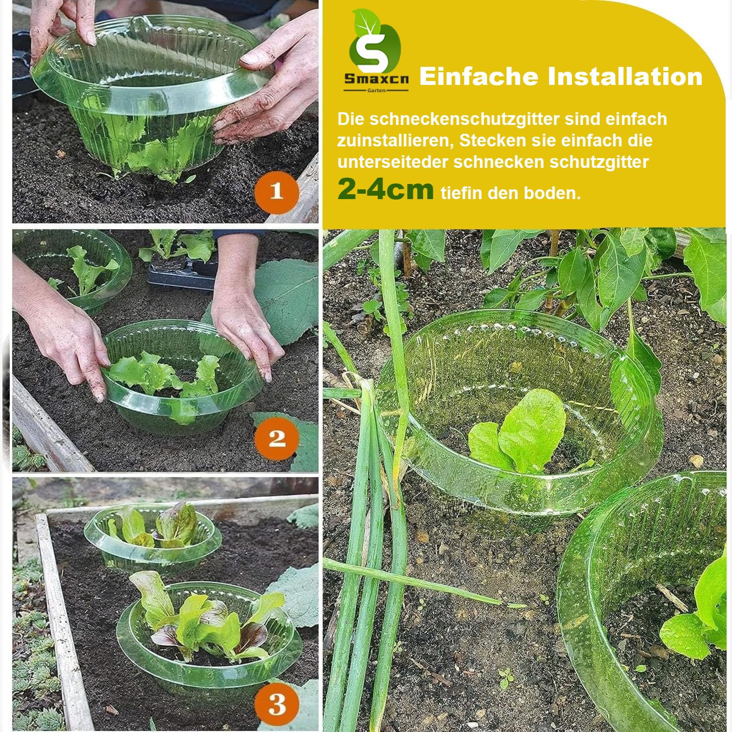 Verdickte Ausführung Schneckenkragen, Schneckenschutz zur Abwehr von Schnecken, für Ihre Salatpflanzen und Kohl - Schützt Pflanzen vor Tierfraß, grün, Set à 24 Stück