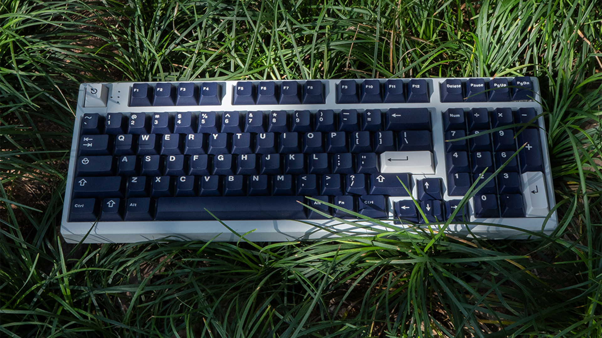 91VsmDrYL7L.jpg