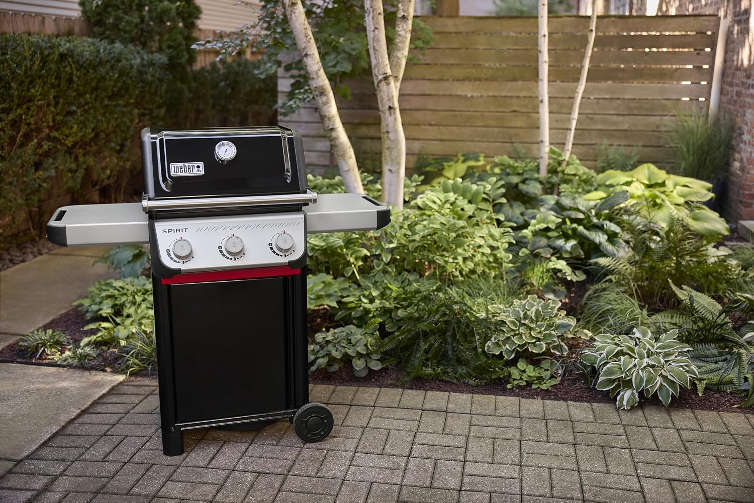 Weber Spirit E‑310
