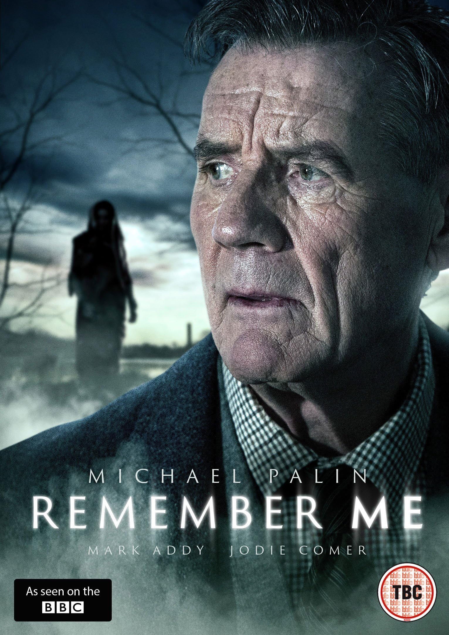 Remember Me [DVD] [2014]