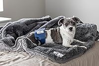 Vista 9 de Pet Parents® Bandas para el vientre lavables para perros machos (paquete de 3) + Extendrs® de pañales duraderos para perros machos, pañales premium