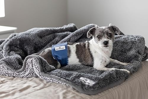 Miniatura 9 de Pet Parents Bandas para el vientre lavables de alta calidad para perros machos y extensores, (paquete de 3) de pañales para perros machos y bandas