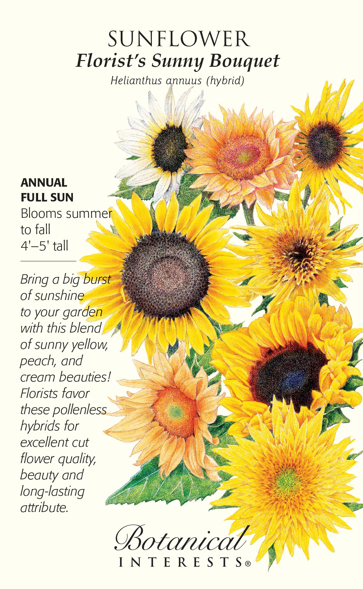 Flower Water-wise Mix Sunflower Florist's Bouquet - Perfect For Your Garden