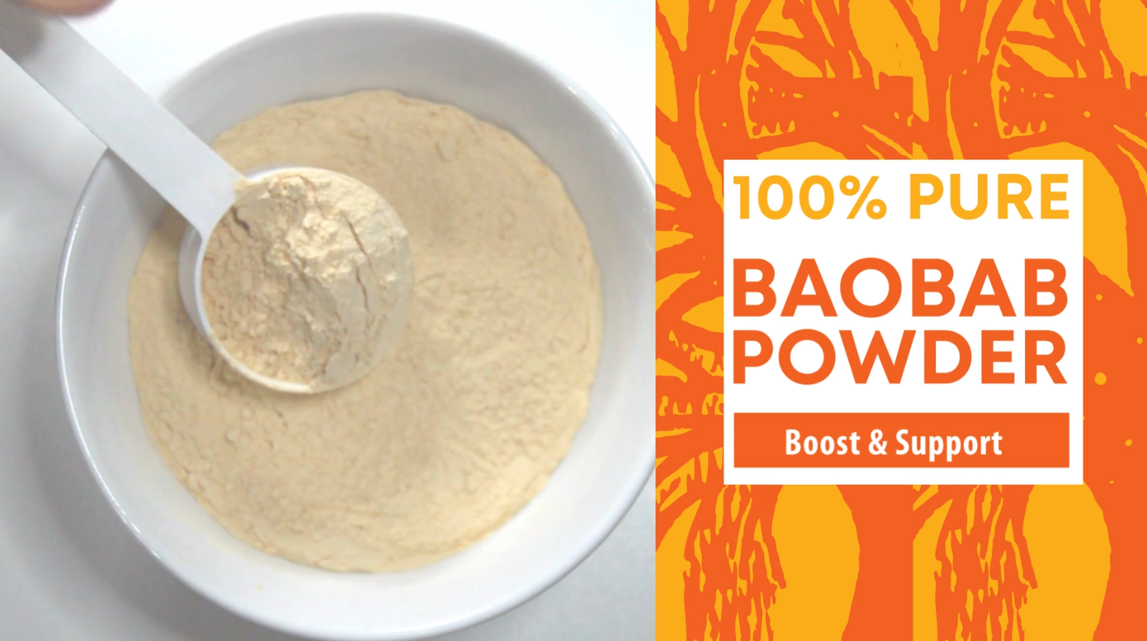 Botanical Baobab CD ボタニカル　バオバブ Botanical Baobab CD ボタニカル バオバブ Botanical | baobab