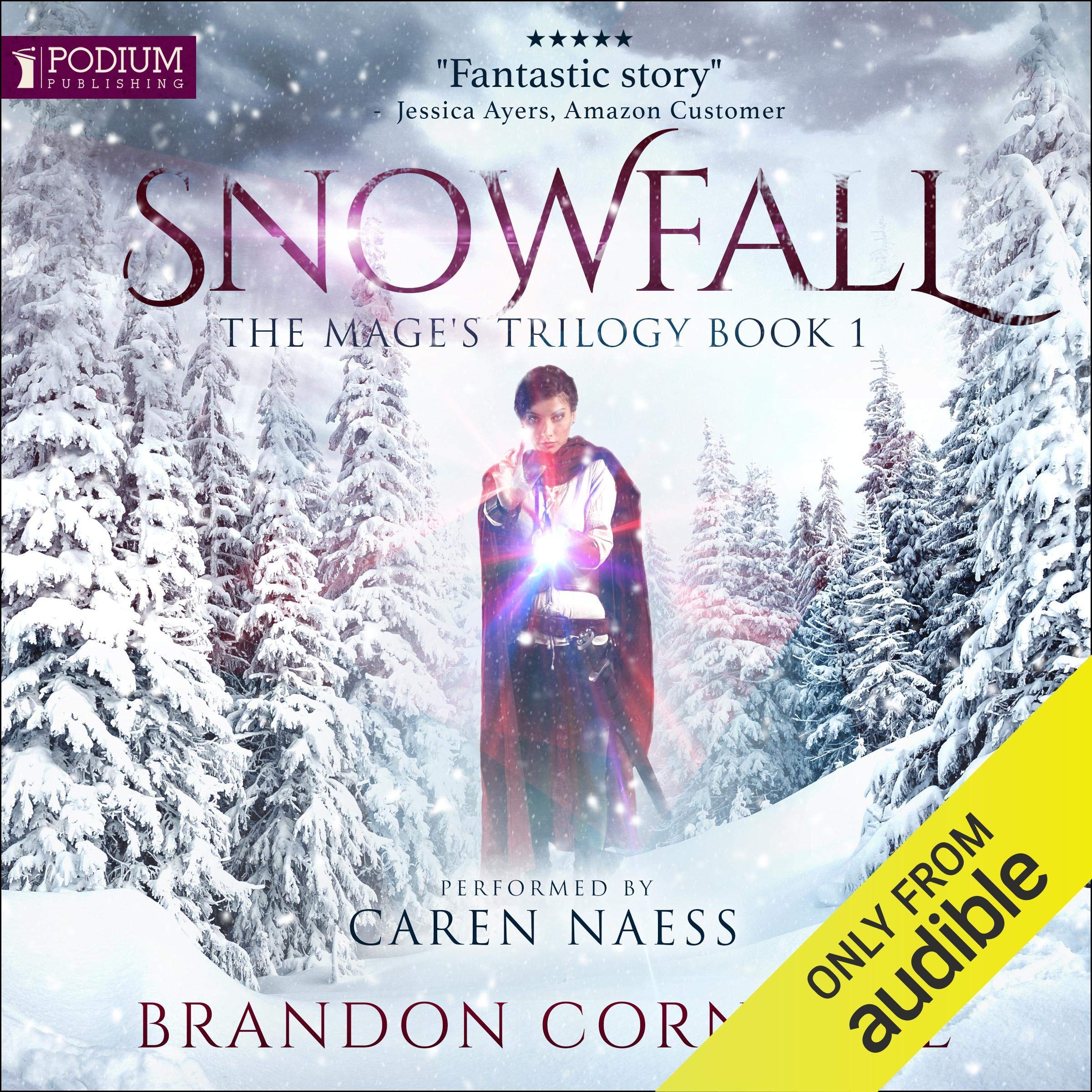 Cover art for Snowfall: Dynasty of Storms IV