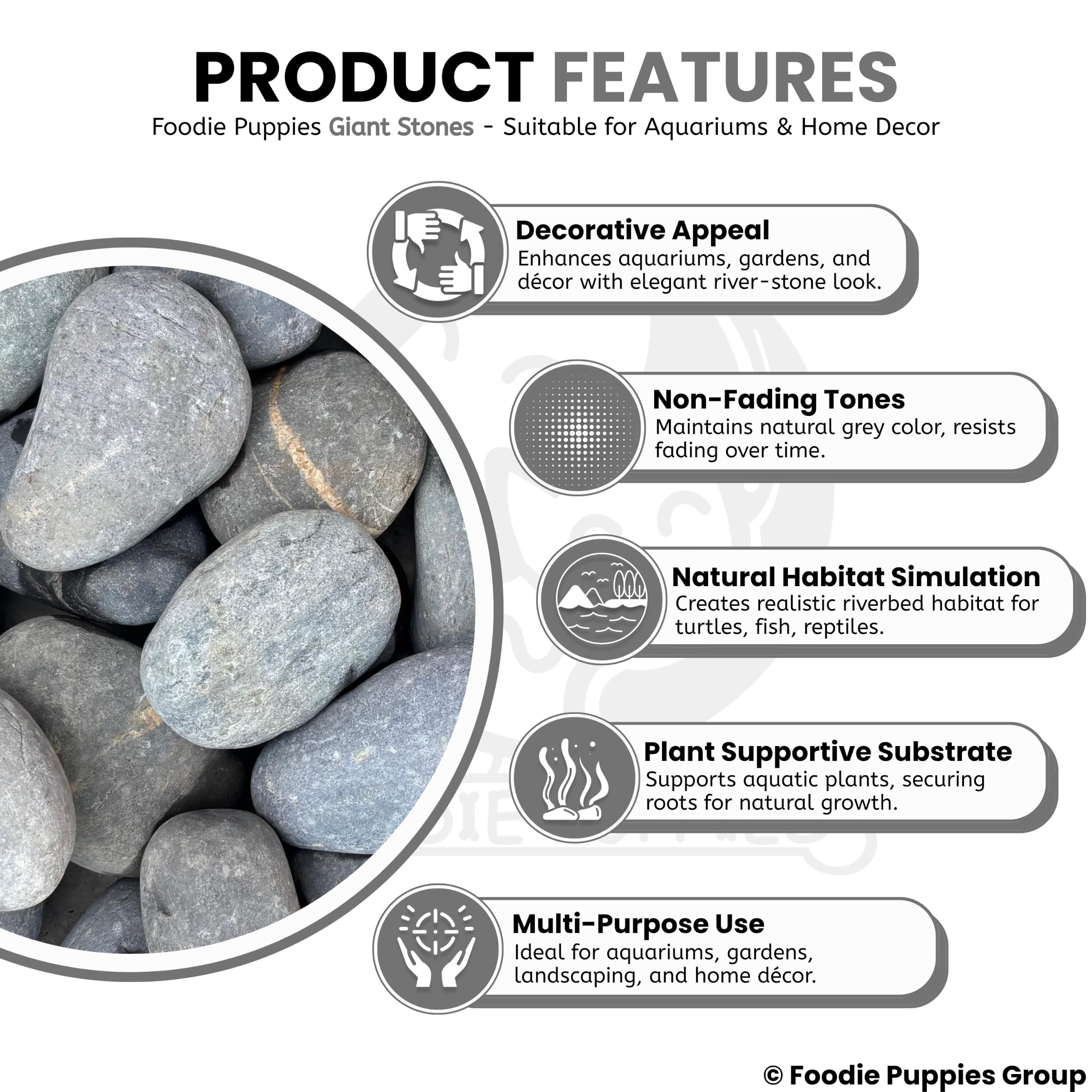 Foodie Puppies Large Size Oval Shape (Giant Stone, Pack of 2) (9cm - 11cm) Pebble Natural Attractive Quality Decorative Substrate Stones for Aquarium Tank Pot Garden and Home Decorations 2