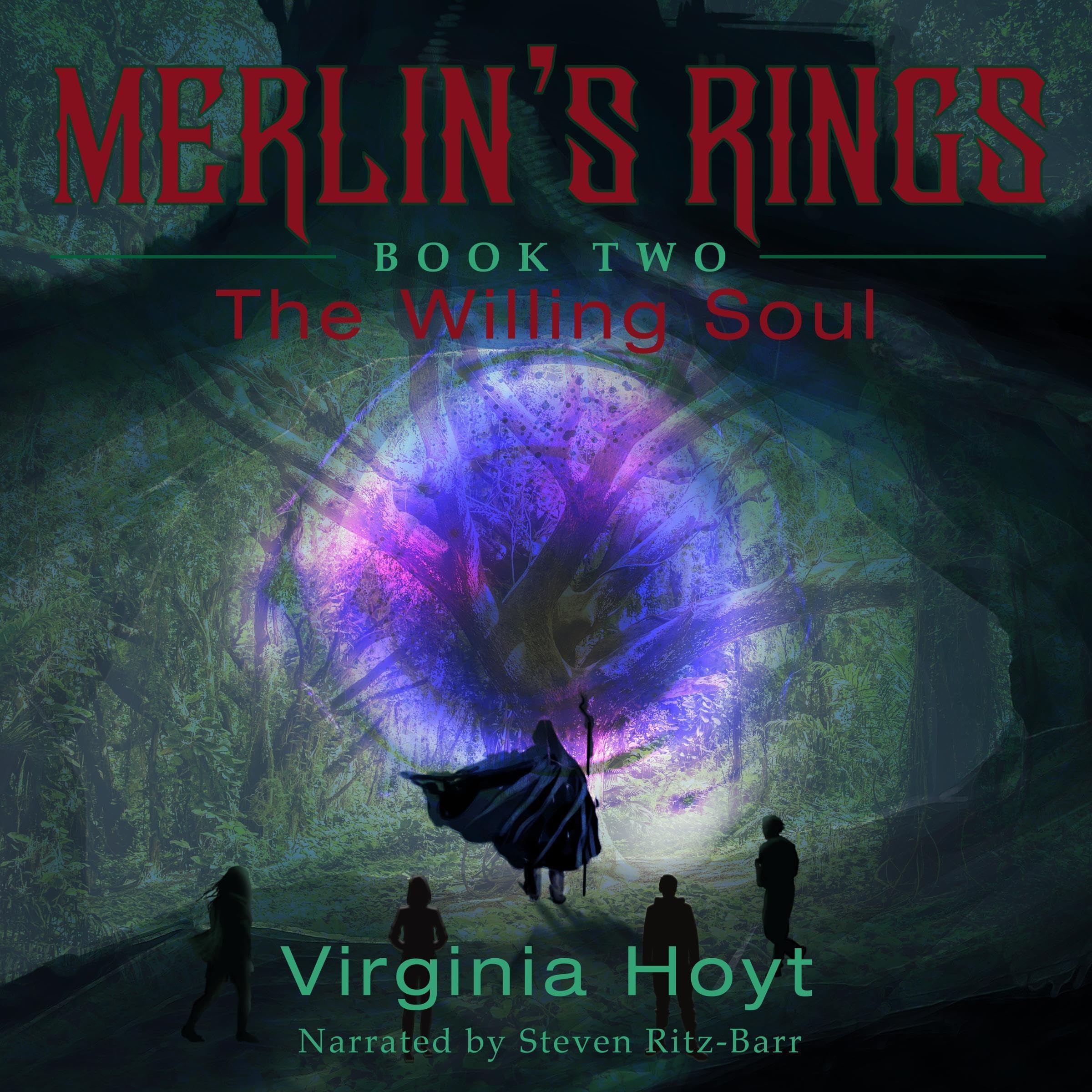 Cover art for The Willing Soul