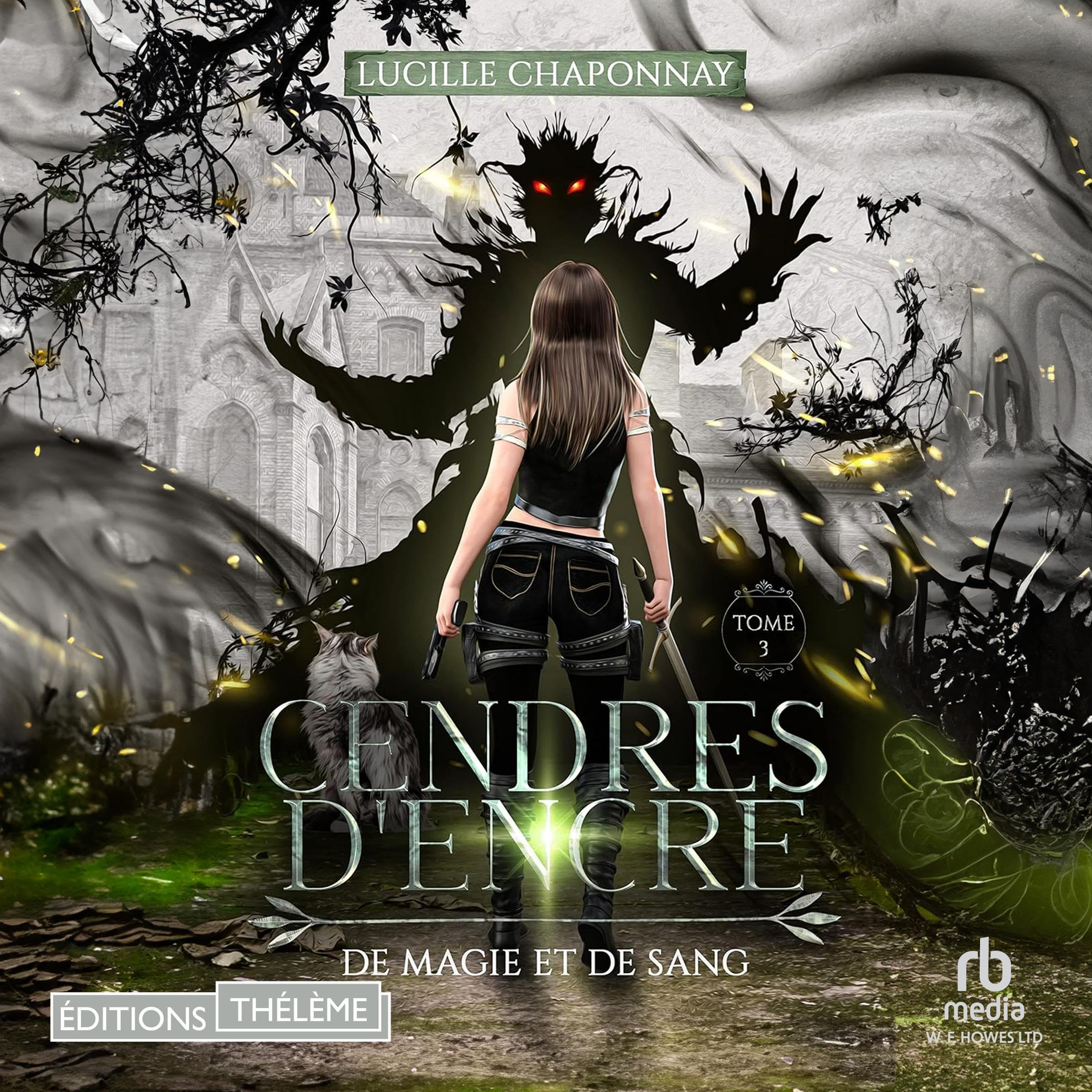 Cover art for Cendres d'encre