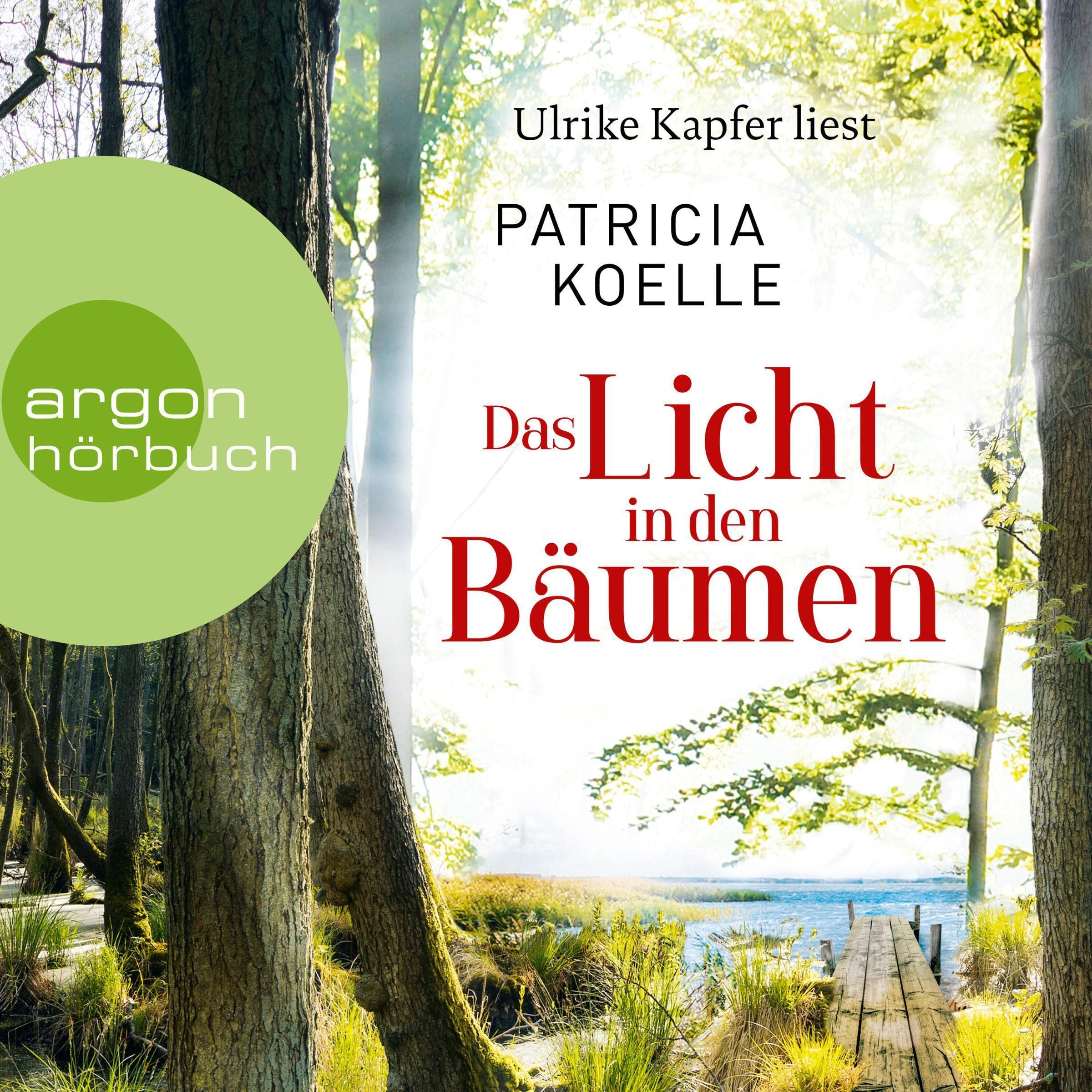 Das Licht in den Bäumen