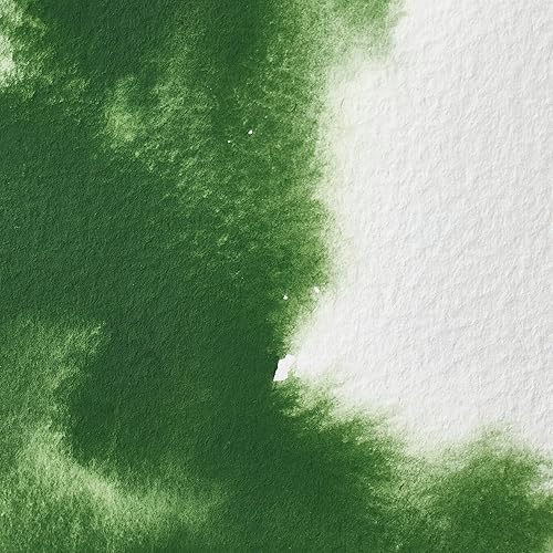 Miniatura 299 de Winsor & Newton - Pintura para acuarela profesional