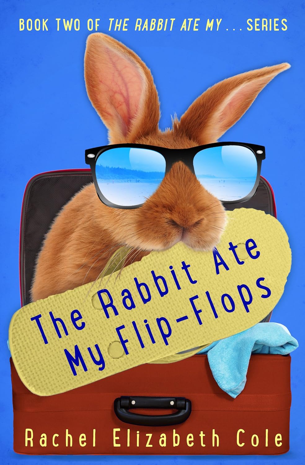 The Rabbit Ate My Flip-Flops (The Rabbit Ate My... Book 2) - Kindle ...