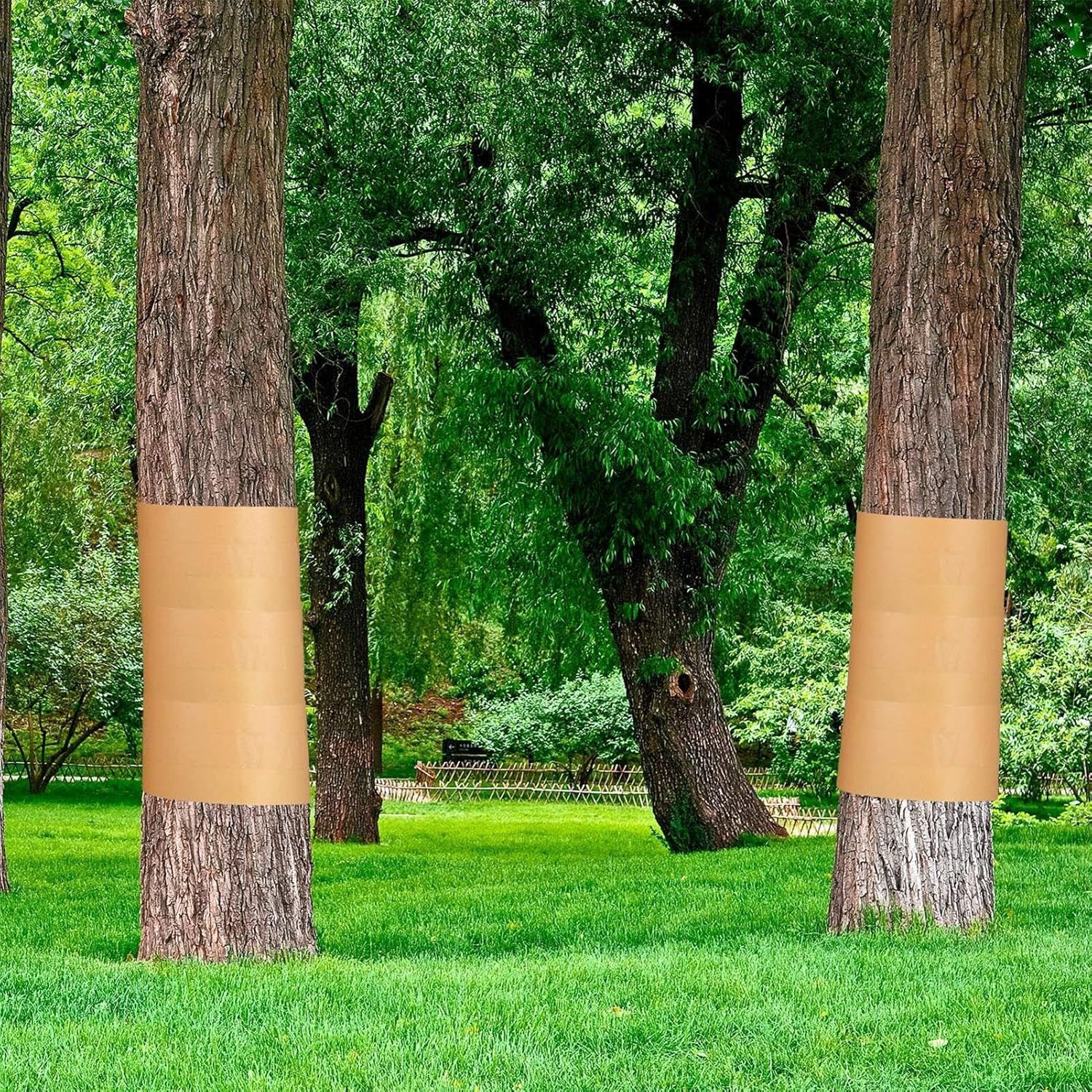 Tree Barrier Tape,164 Ft x 2 Inch Caterpillar Tree Tape - Sticky Barrier, Plant Protector for Outdoor Lawn Garden Orchard - Image 2