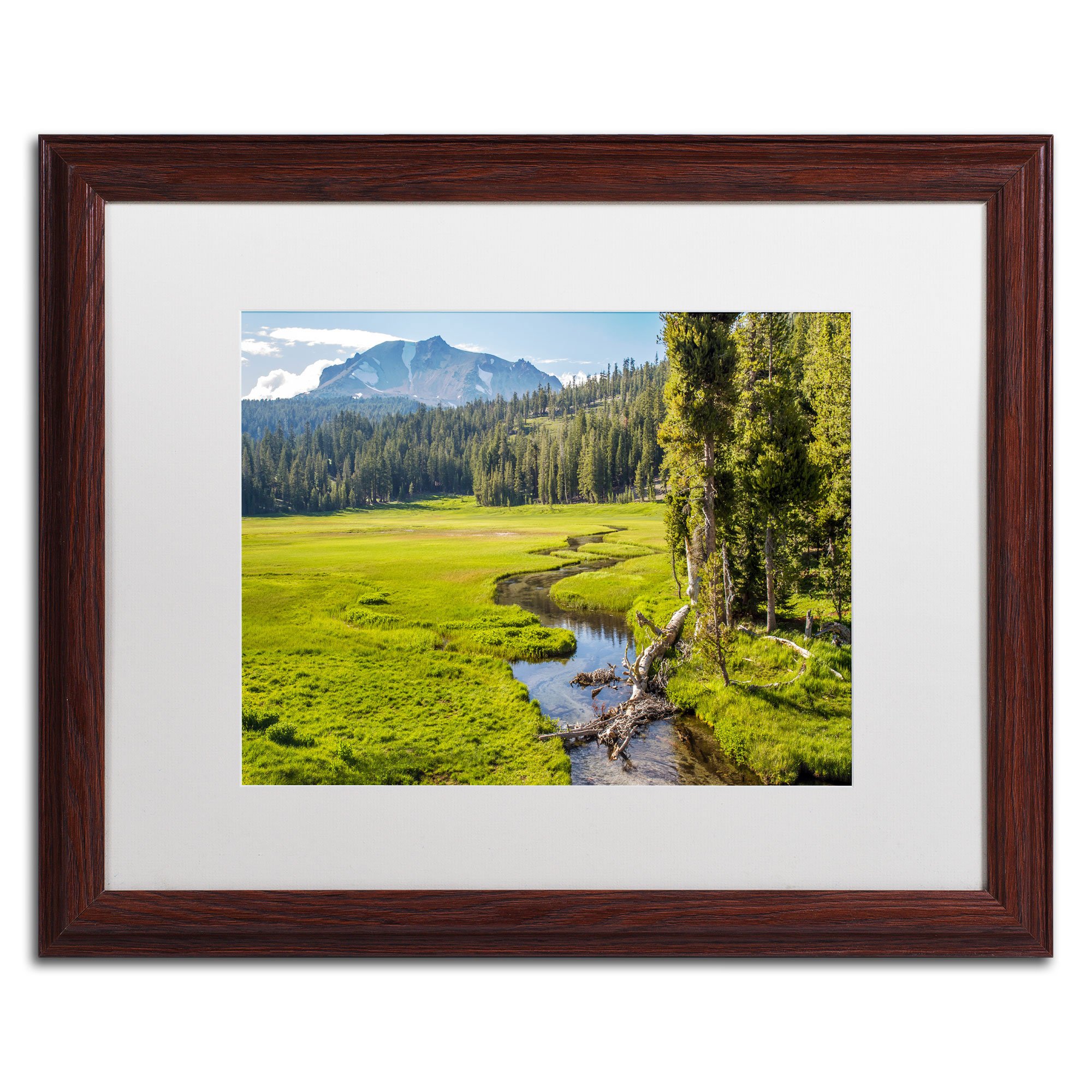 Lassen Meadow White Matte Artwork by Pierre Leclerc, 16 by 20-Inch, Wood Frame