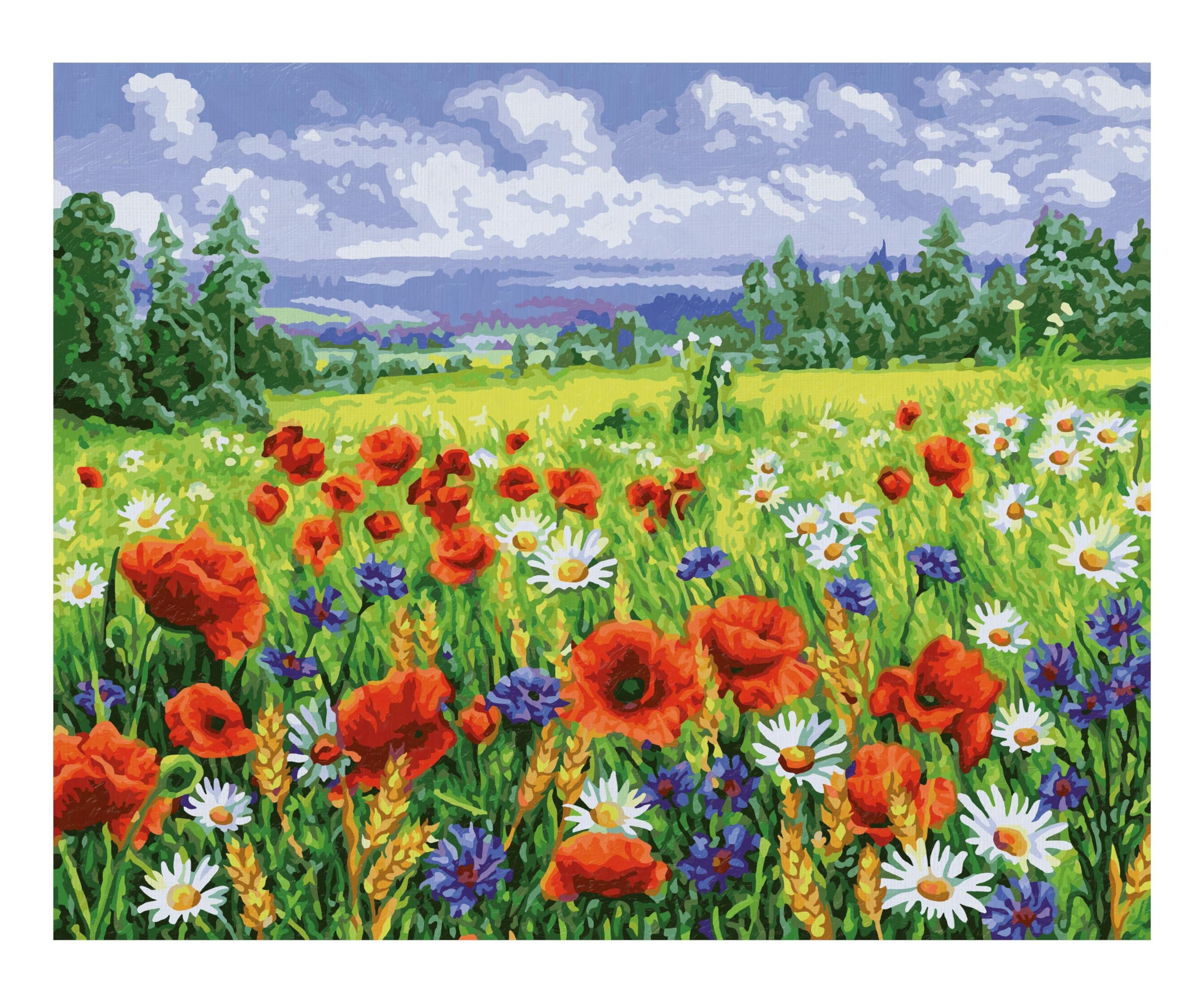 Schipper 609130824 - Dipingere con i Numeri, Prato Floreale, per Adulti, con pennelli e Colori acrilici, 40 x 50 cm