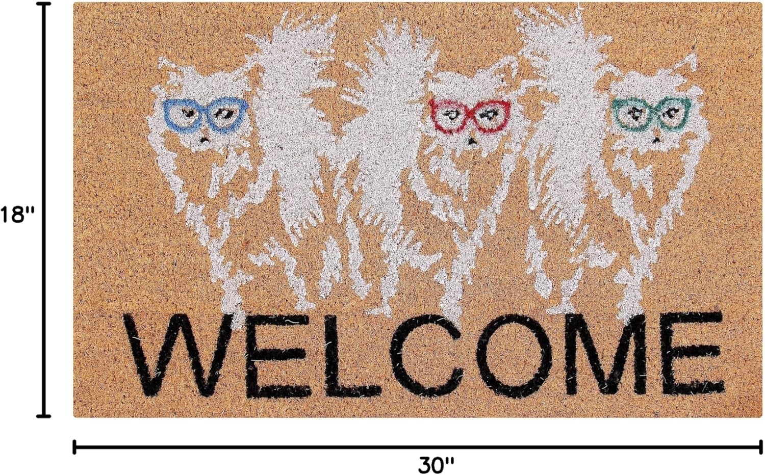 Better Trends Coir Door Mat is Strong Easy to Clean and Colorful 100 Percent Natural Coir in Vibrant Designs, 18" x 30" Rectangle, Cat Home