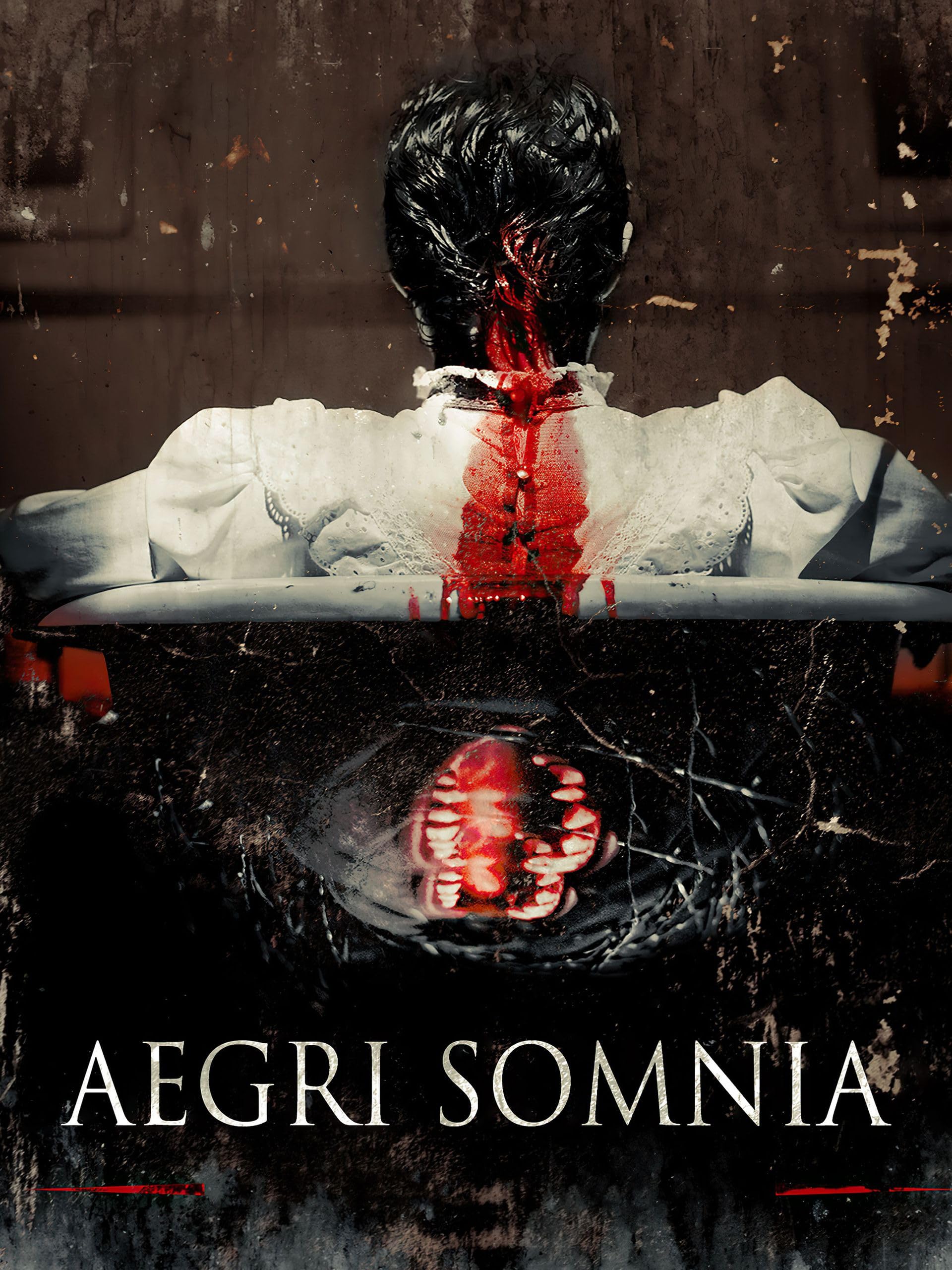Aegri Somnia
