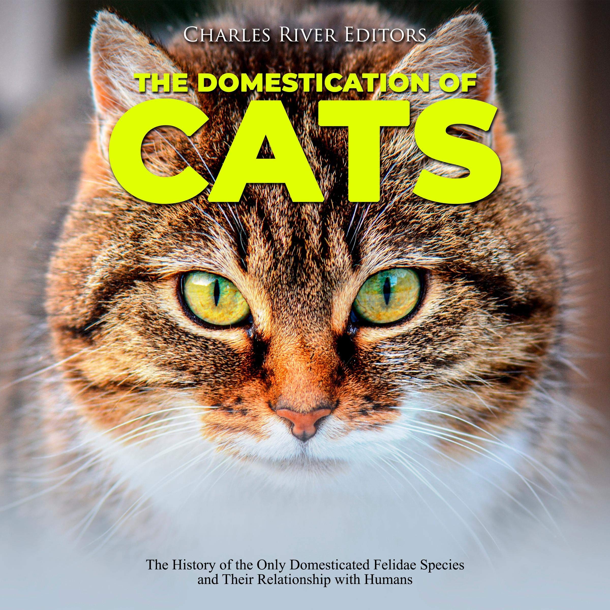 Cover art for The Domestication of Cats